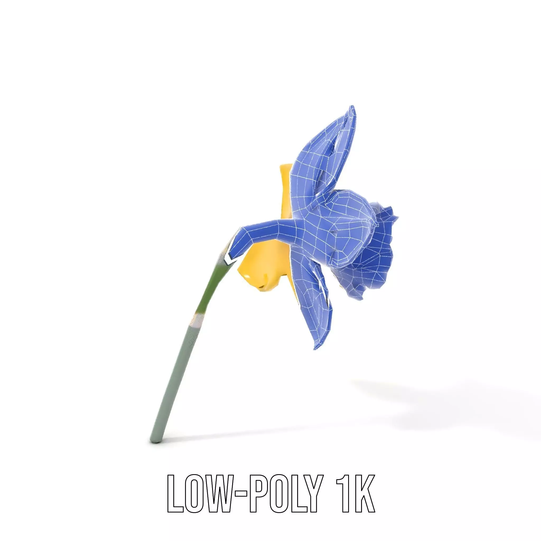 Vibrant Daffodil model pack Low-poly 3D model_10