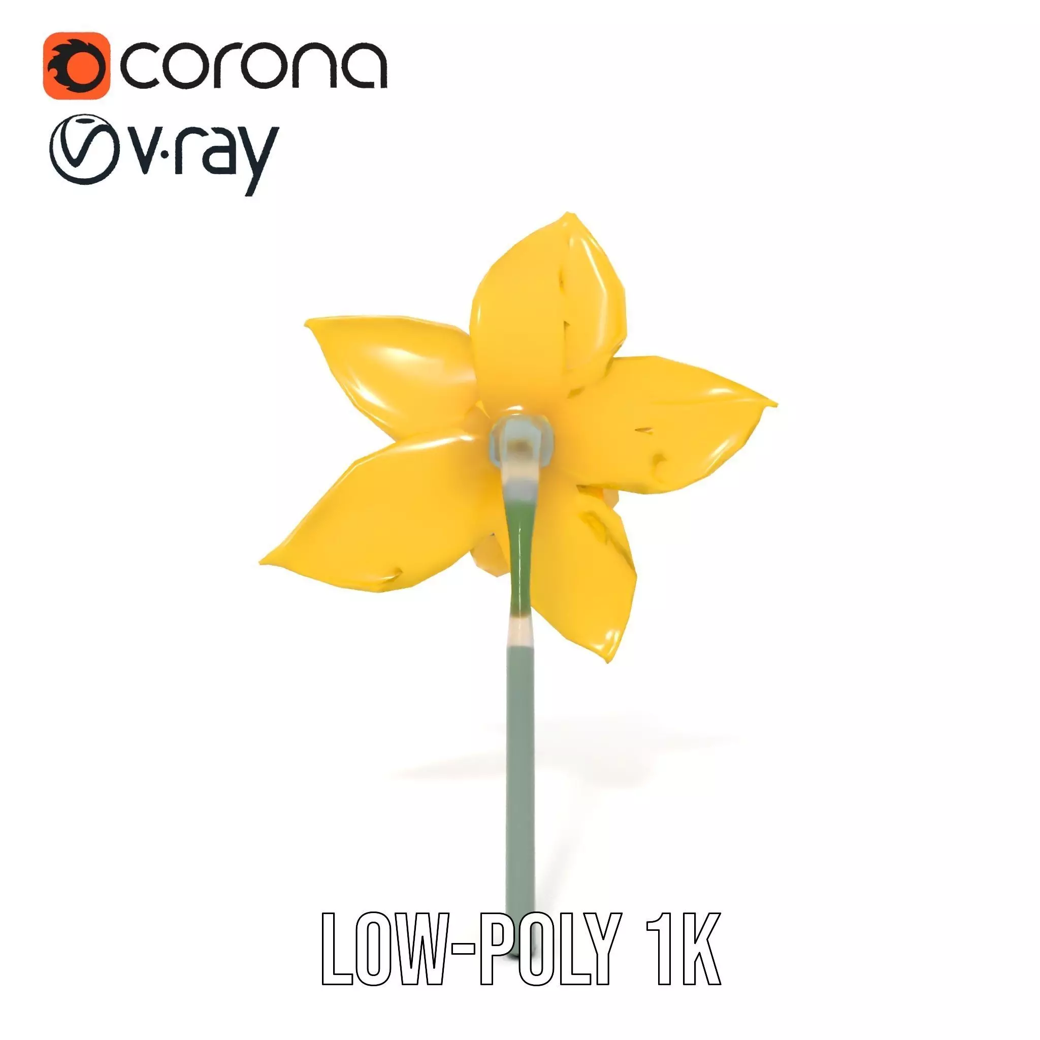 Vibrant Daffodil model pack Low-poly 3D model_20