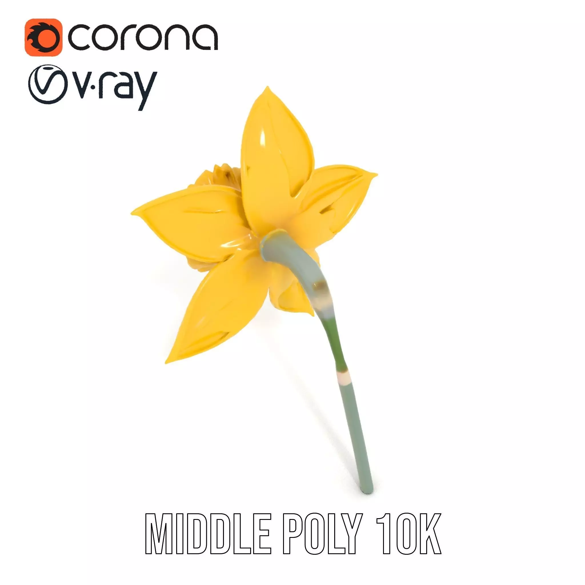 Vibrant Daffodil model pack Low-poly 3D model_12