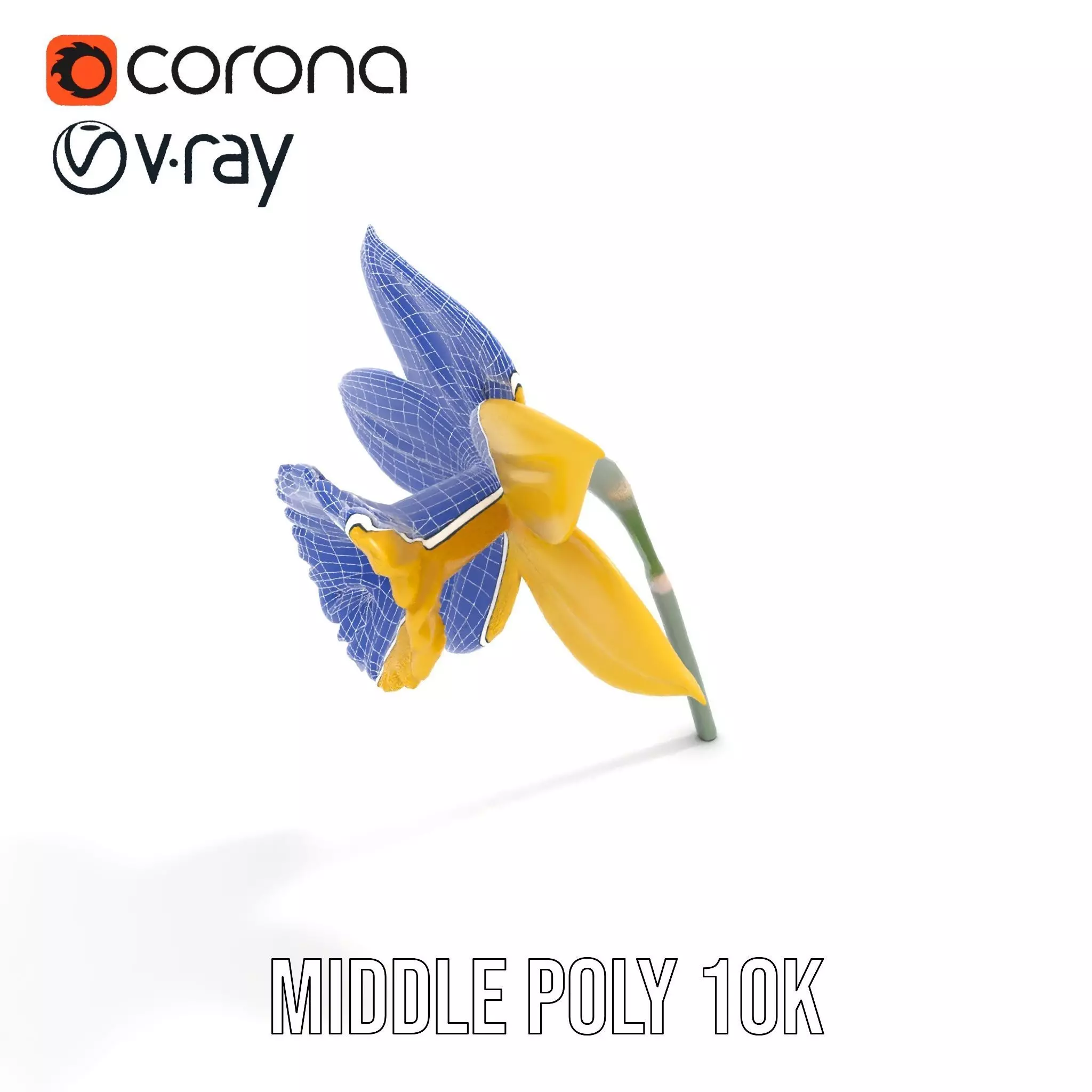 Vibrant Daffodil model pack Low-poly 3D model_25