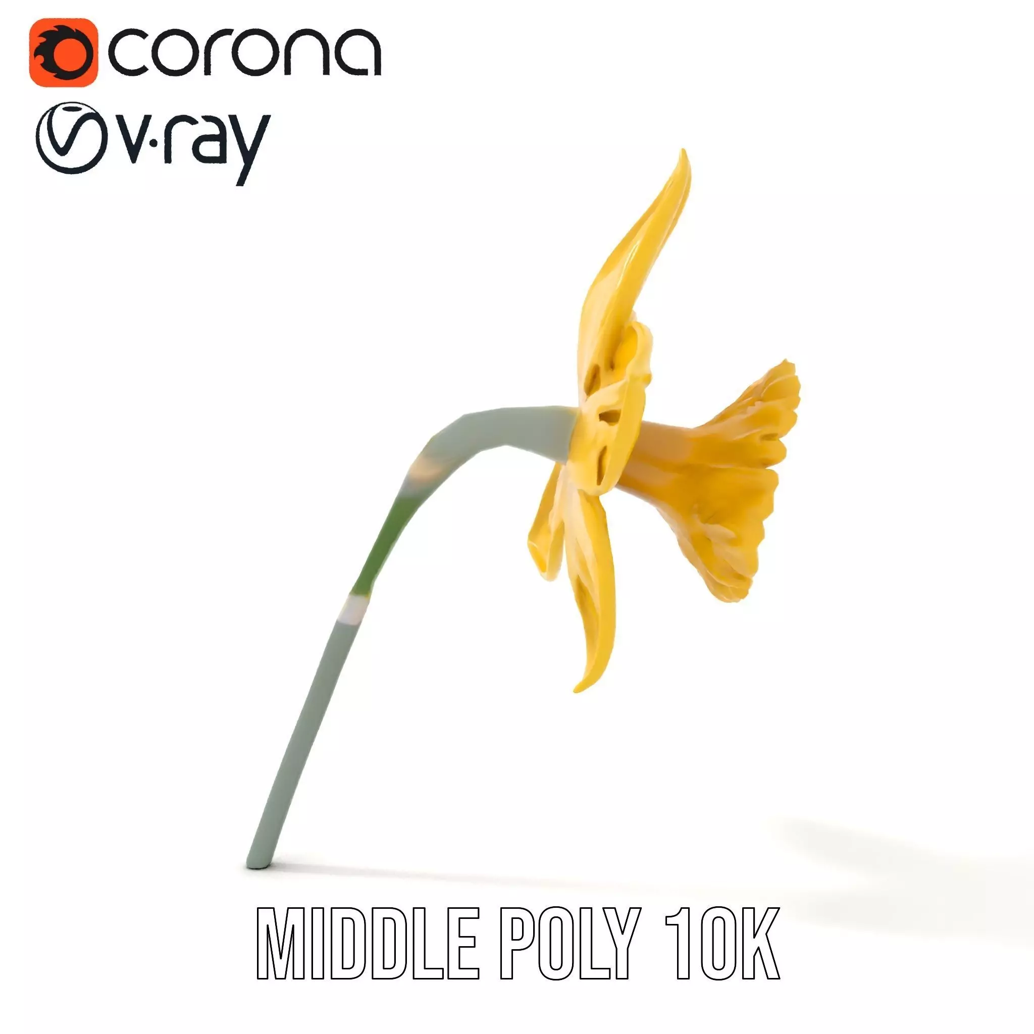 Vibrant Daffodil model pack Low-poly 3D model_22