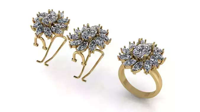 Ring and Earring Wedding Ring