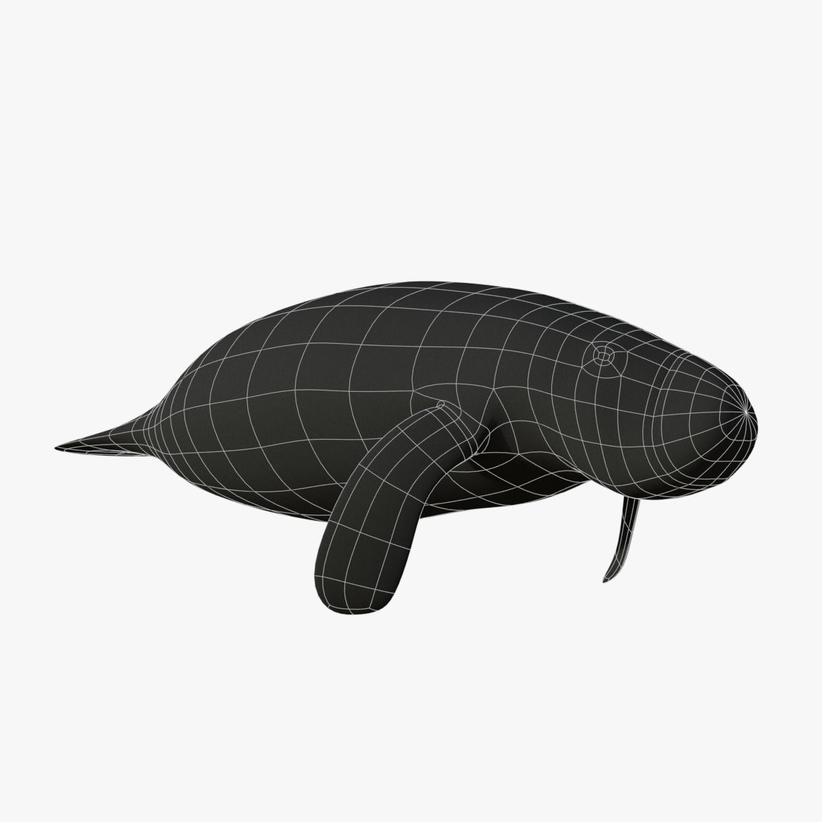 West Indian manatee Low-poly 3D model_13