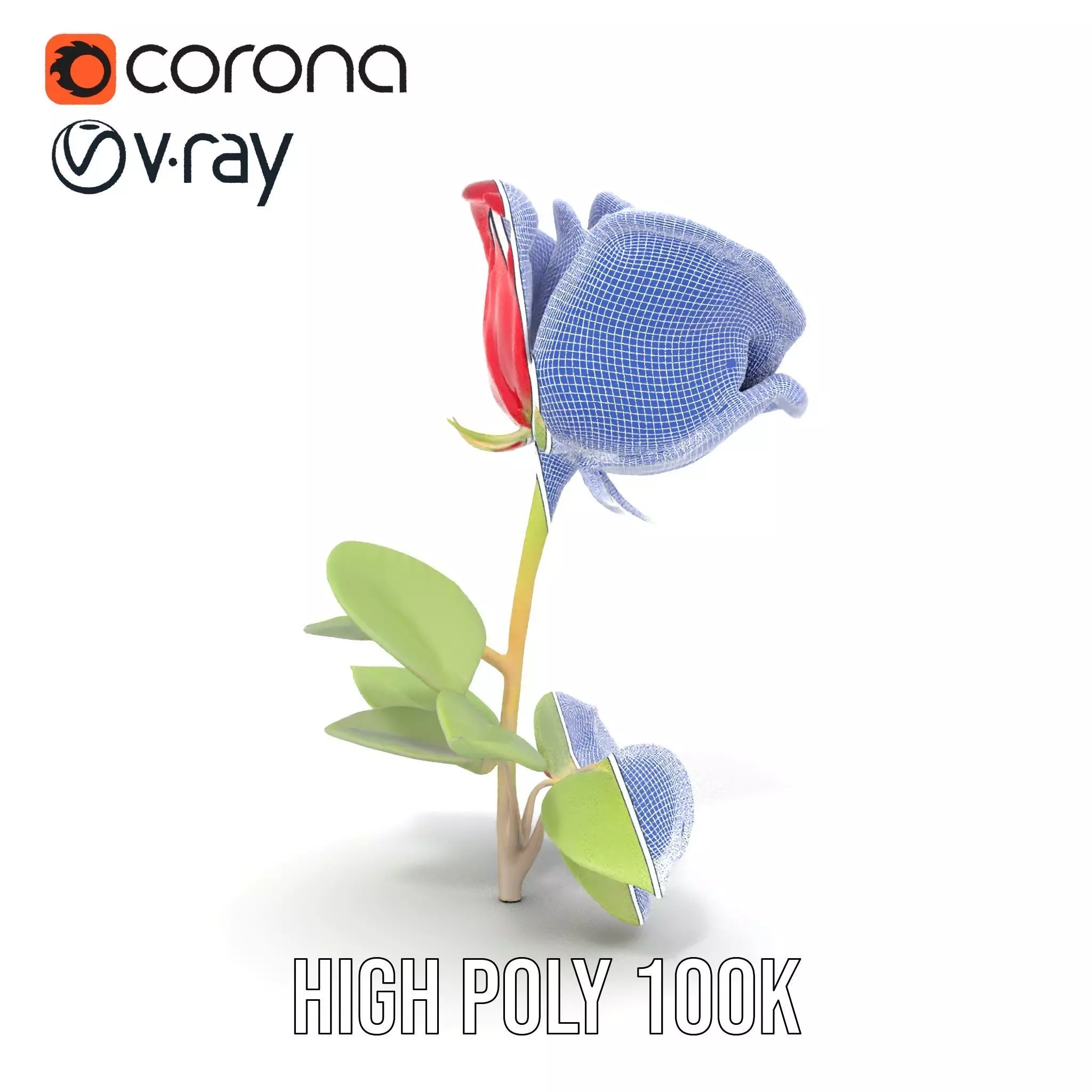 Red Rose Floral model pack Low-poly 3D model_35