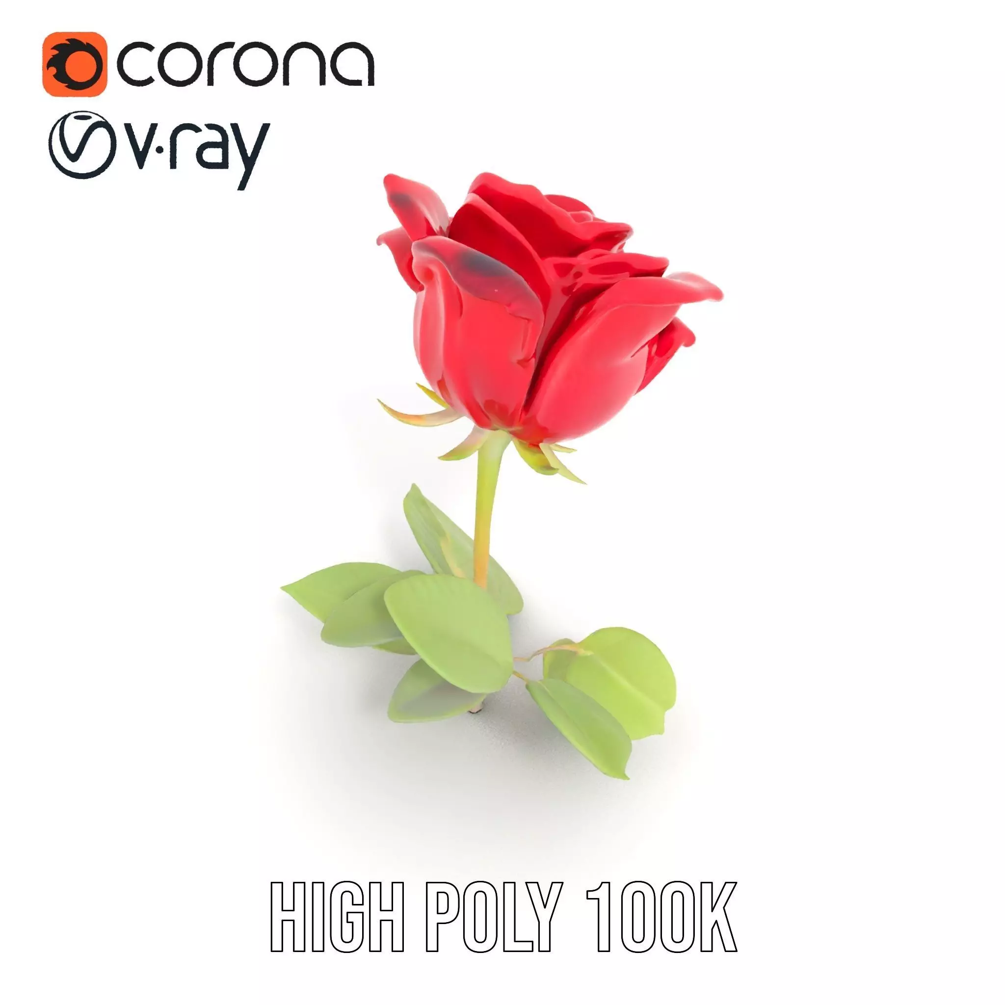 Red Rose Floral model pack Low-poly 3D model_21