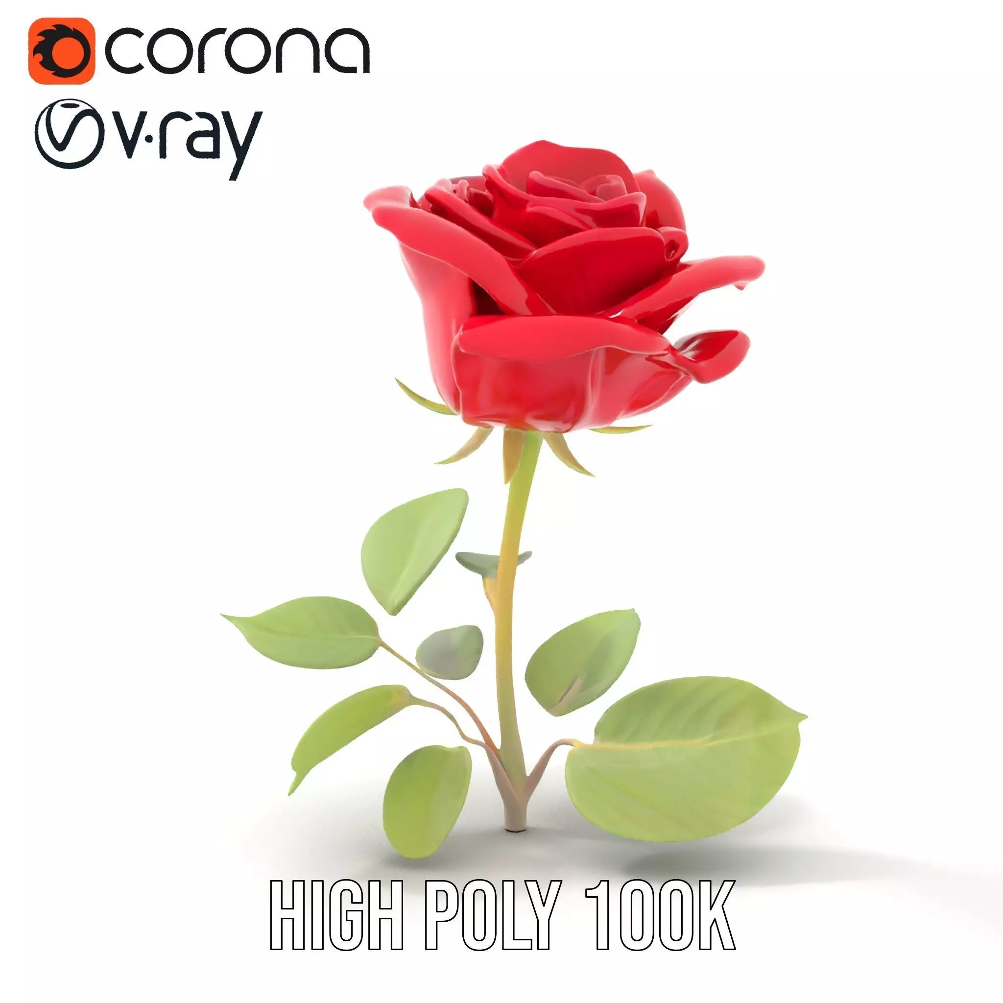 Red Rose Floral model pack Low-poly 3D model_24