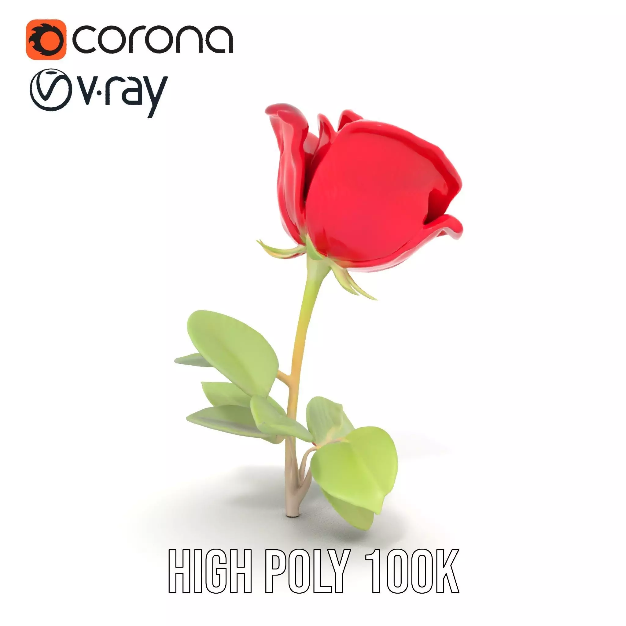 Red Rose Floral model pack Low-poly 3D model_33