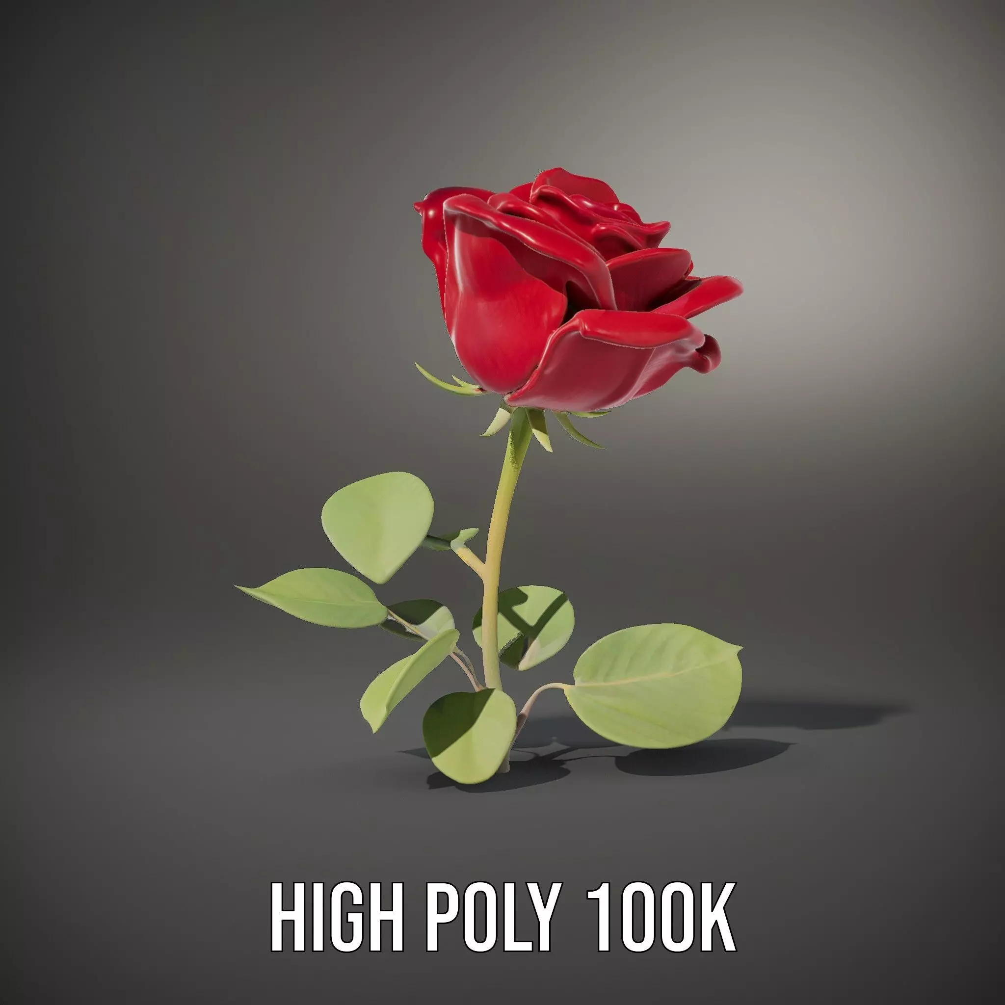 Red Rose Floral model pack Low-poly 3D model_9