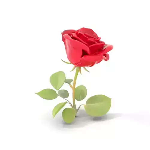 Red Rose Floral model pack Low-poly 3D model