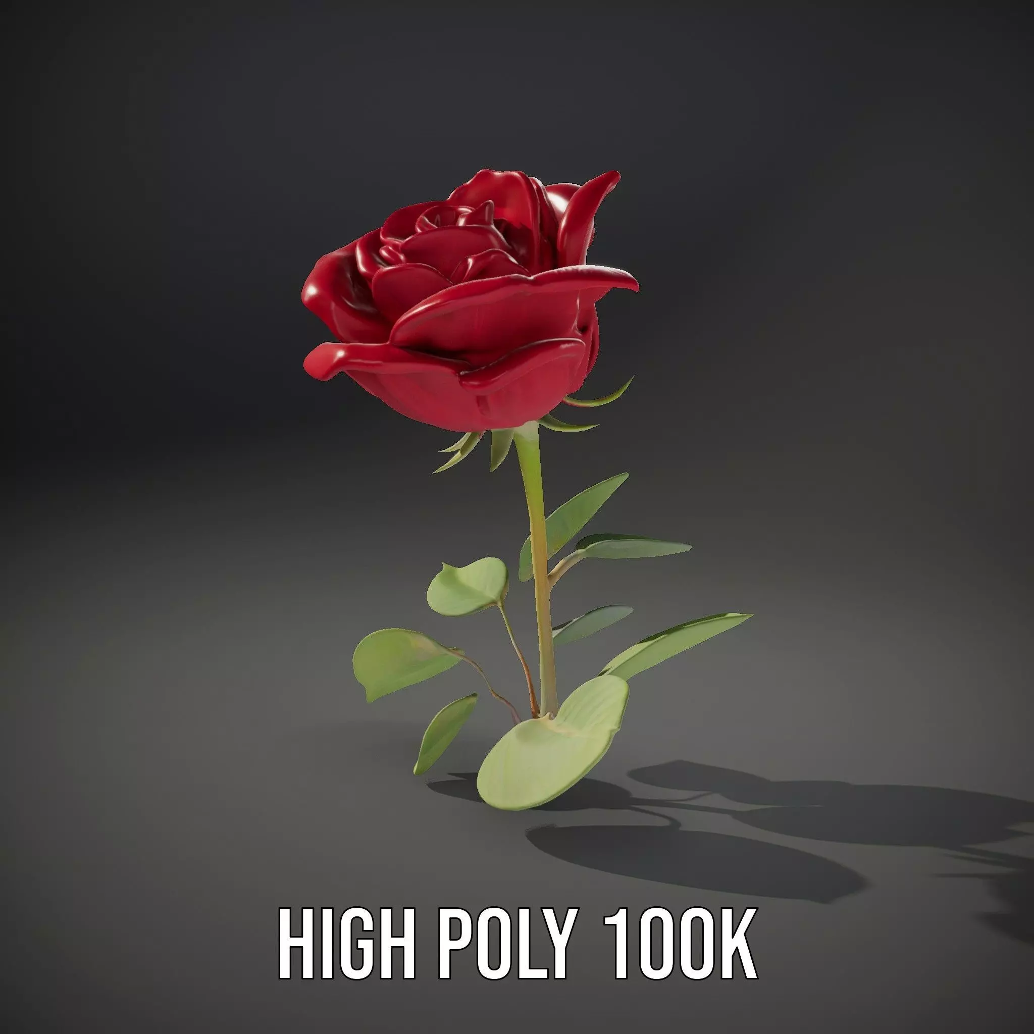 Red Rose Floral model pack Low-poly 3D model_11