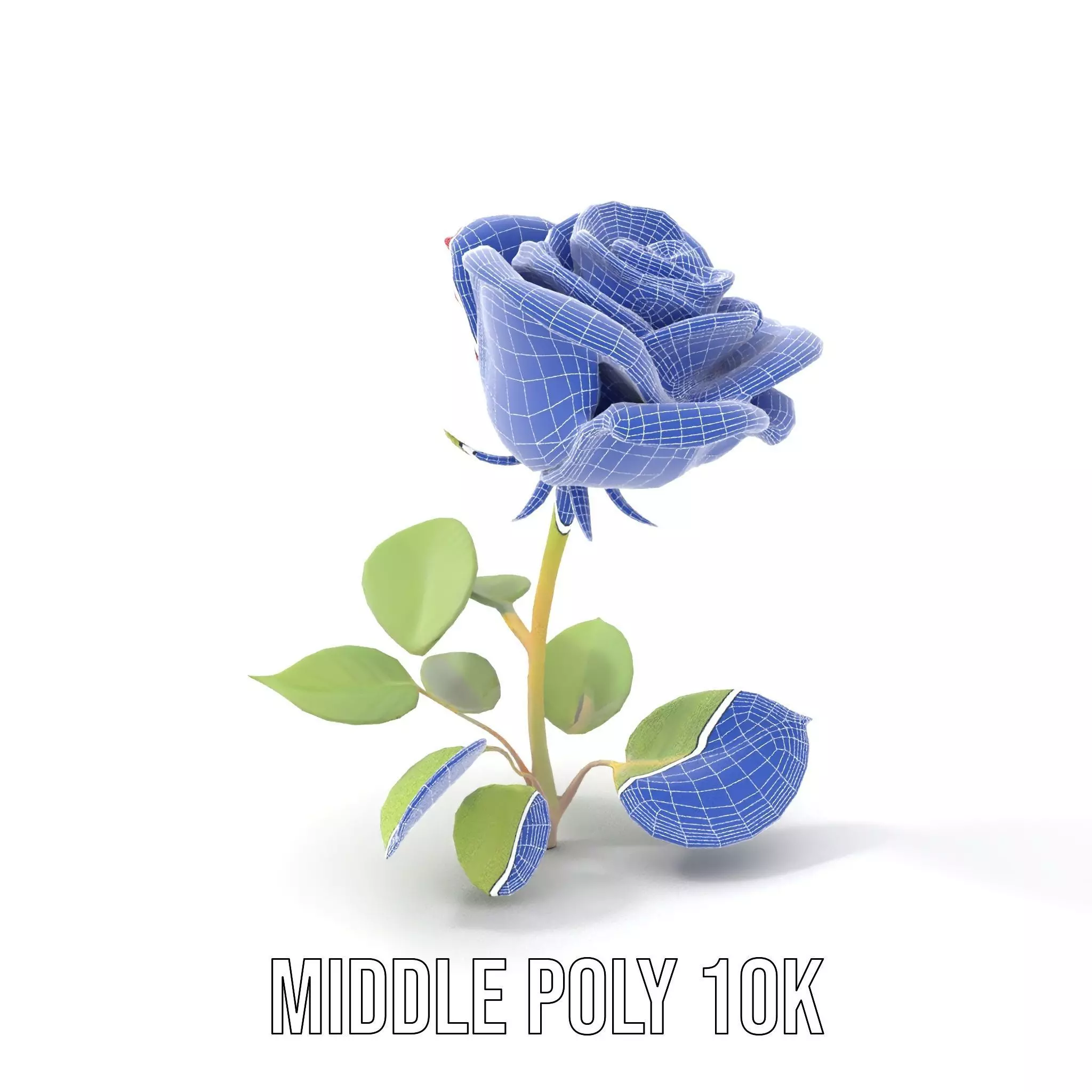 Red Rose Floral model pack Low-poly 3D model_14