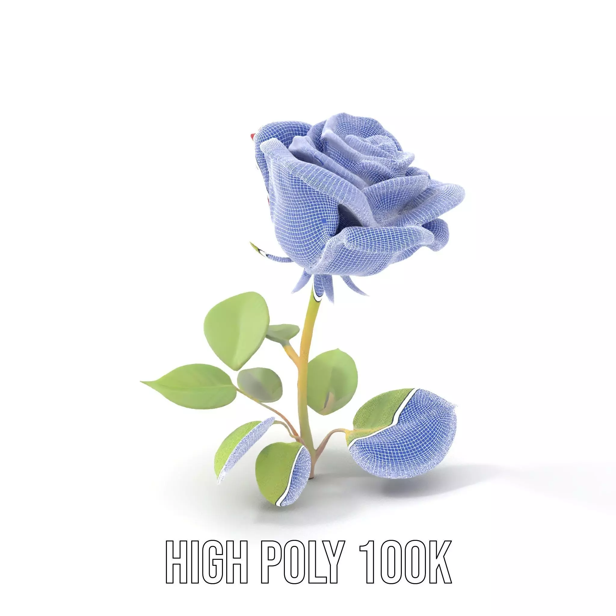 Red Rose Floral model pack Low-poly 3D model_5