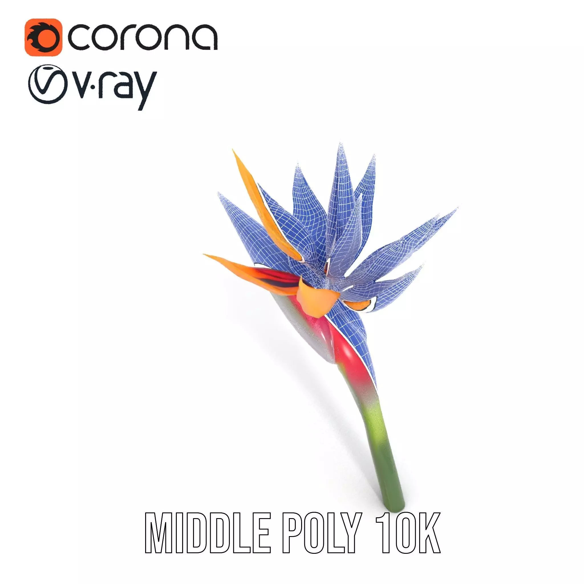 Bird of Paradise Flower model pack Low-poly 3D model_30