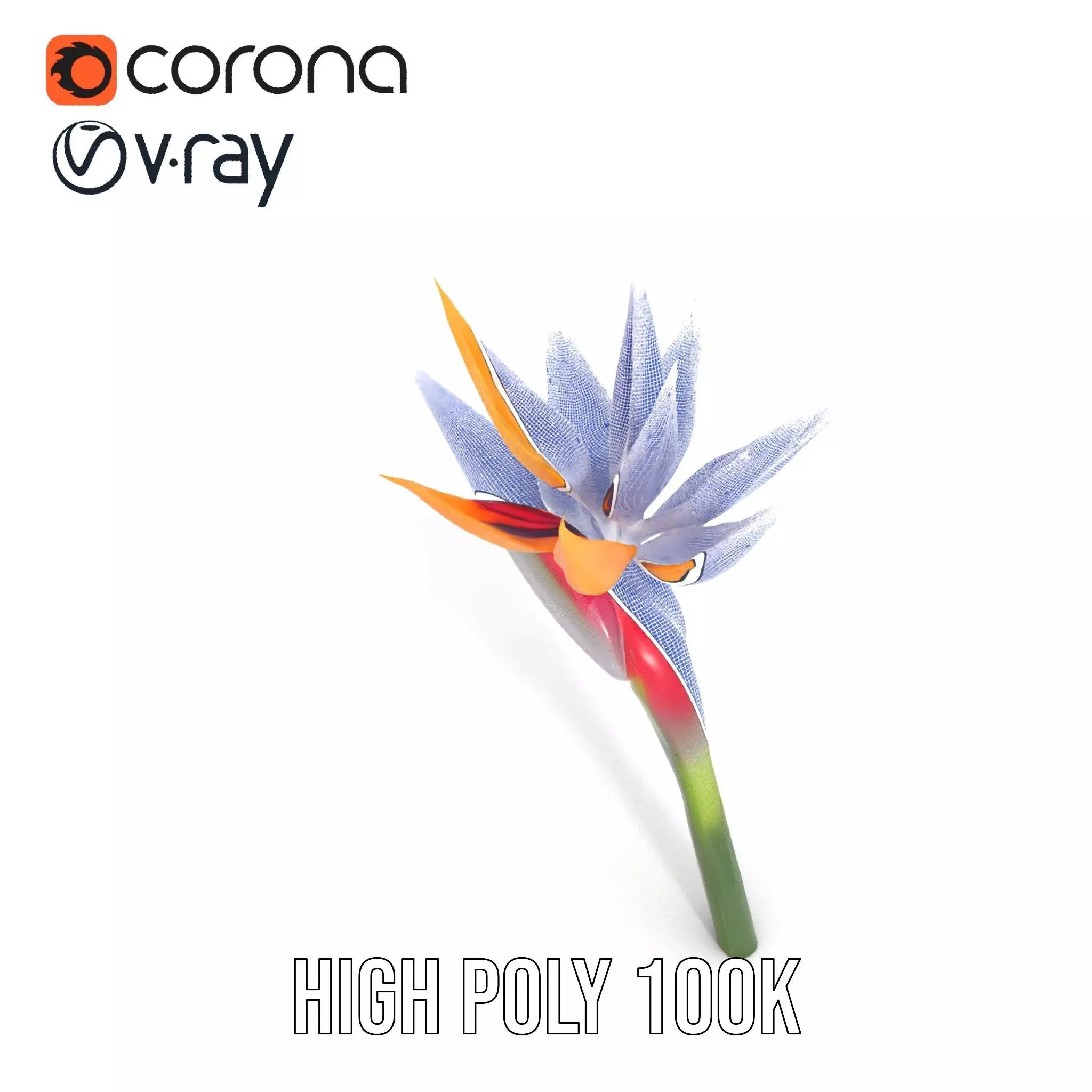 Bird of Paradise Flower model pack Low-poly 3D model_33