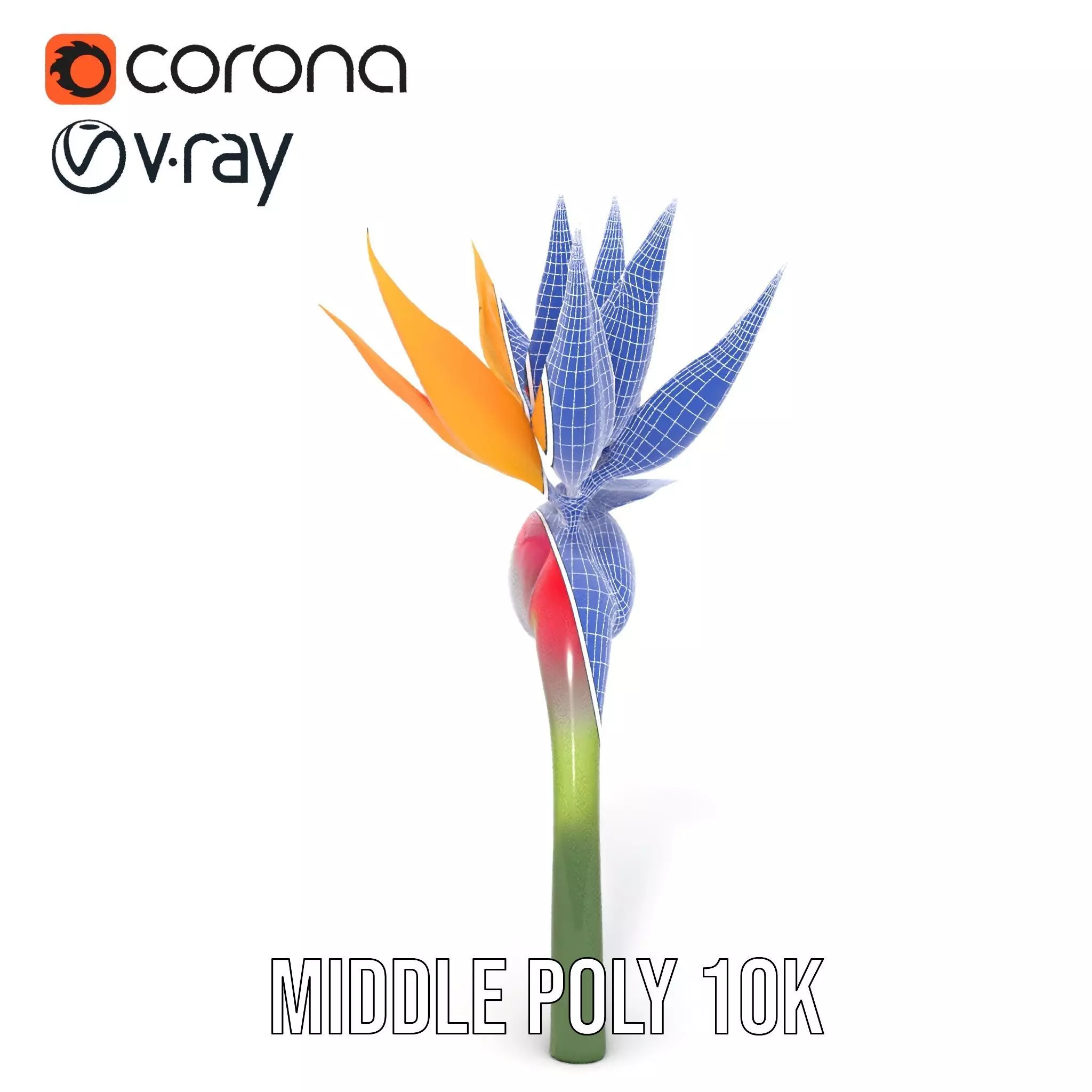 Bird of Paradise Flower model pack Low-poly 3D model_27