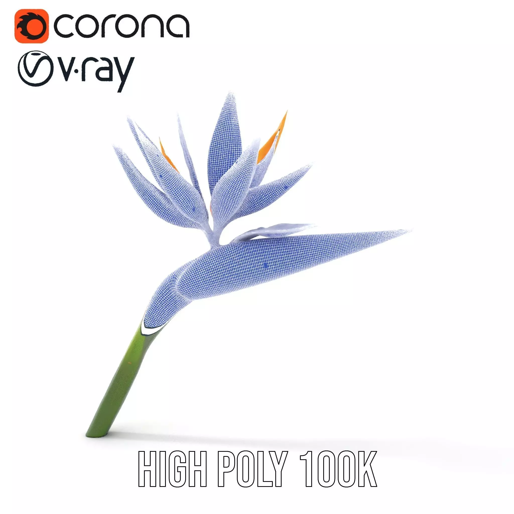 Bird of Paradise Flower model pack Low-poly 3D model_35