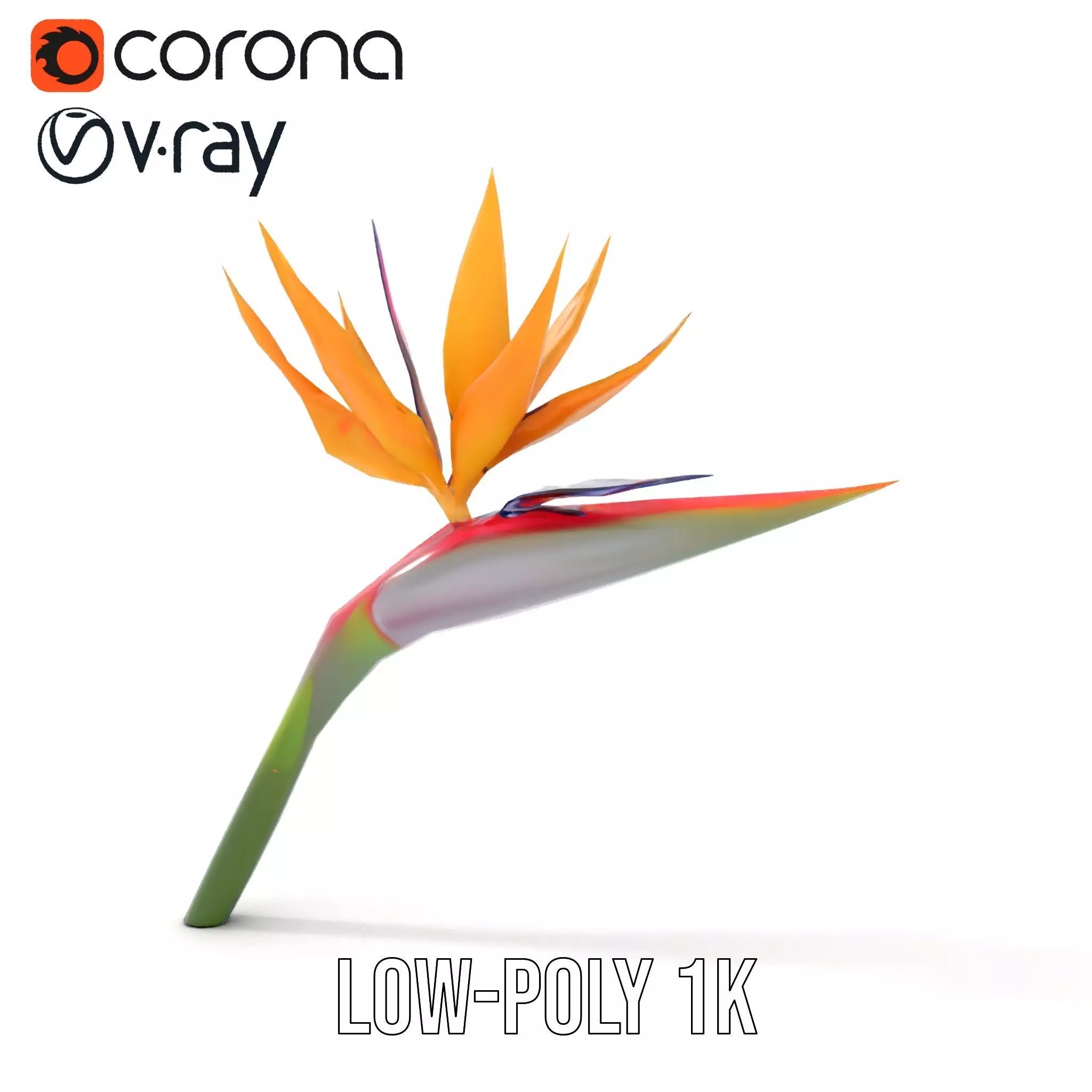 Bird of Paradise Flower model pack Low-poly 3D model_22