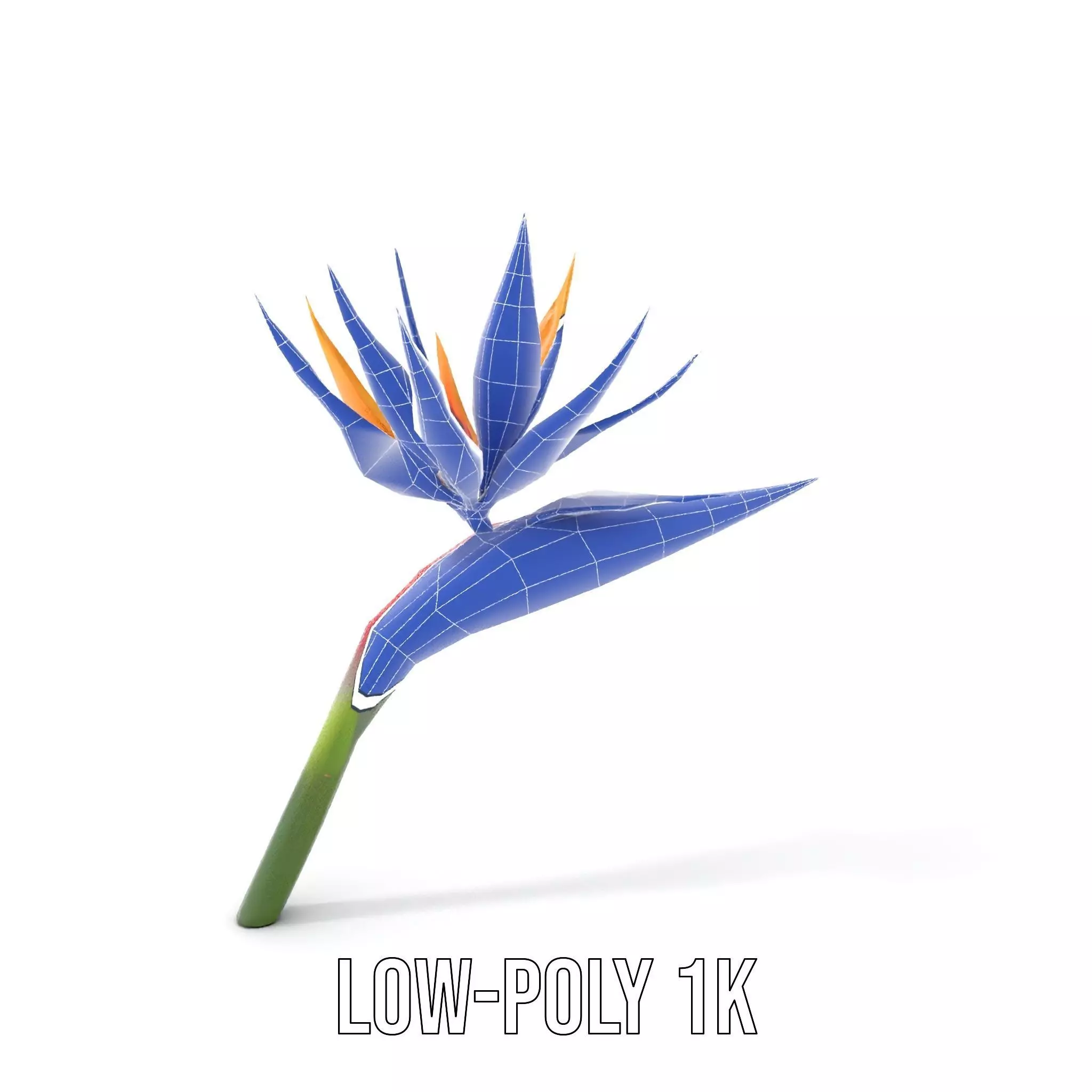 Bird of Paradise Flower model pack Low-poly 3D model_25