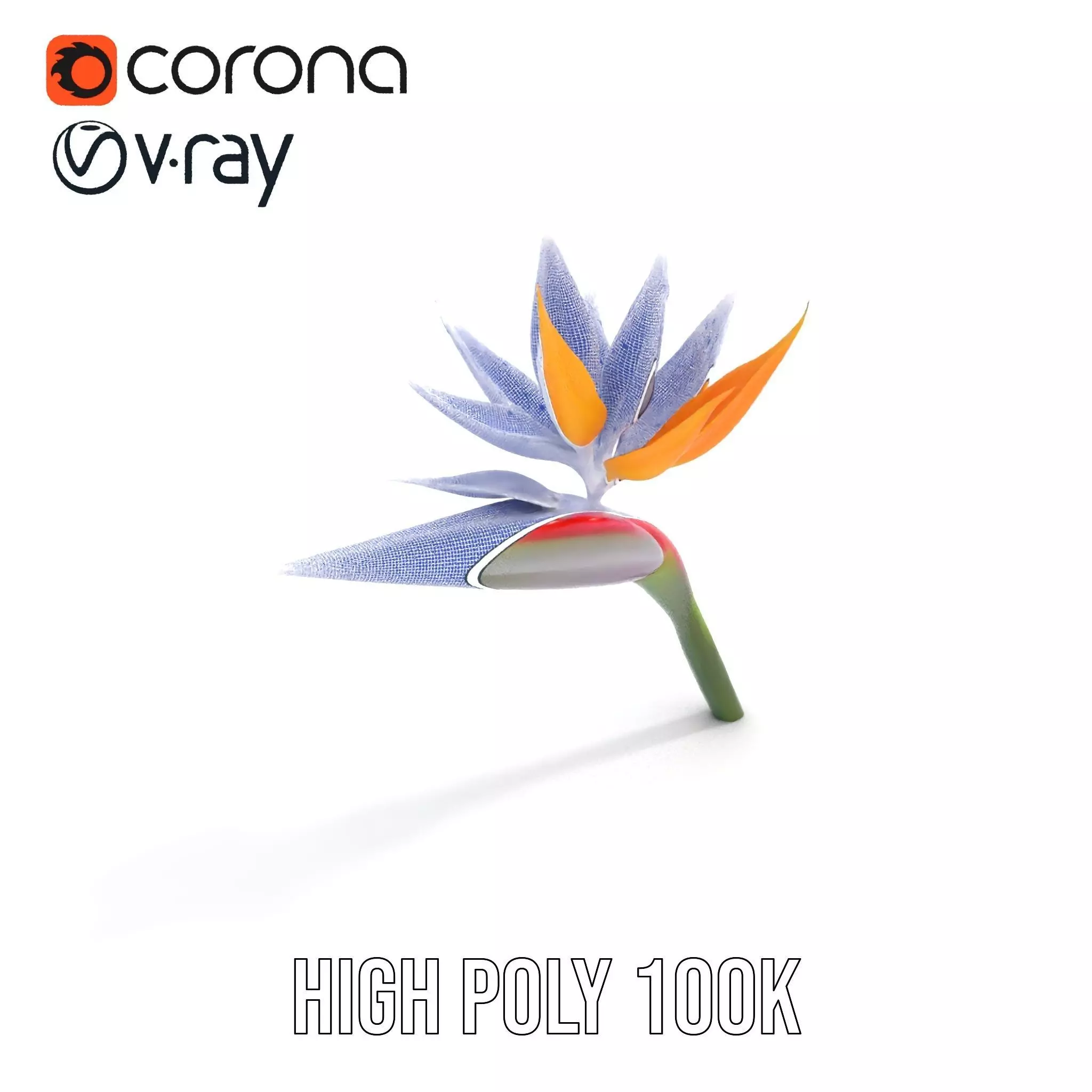 Bird of Paradise Flower model pack Low-poly 3D model_26