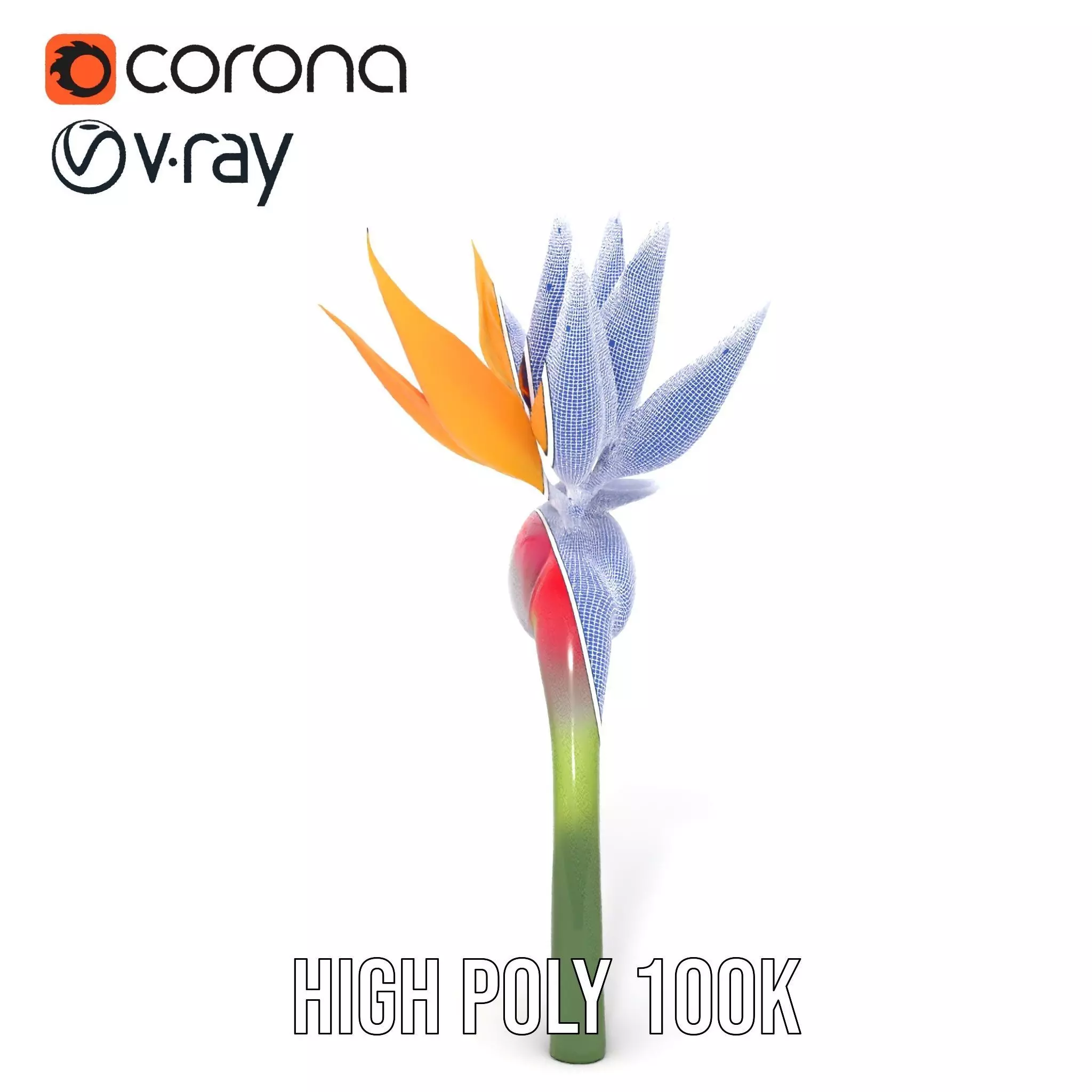 Bird of Paradise Flower model pack Low-poly 3D model_34