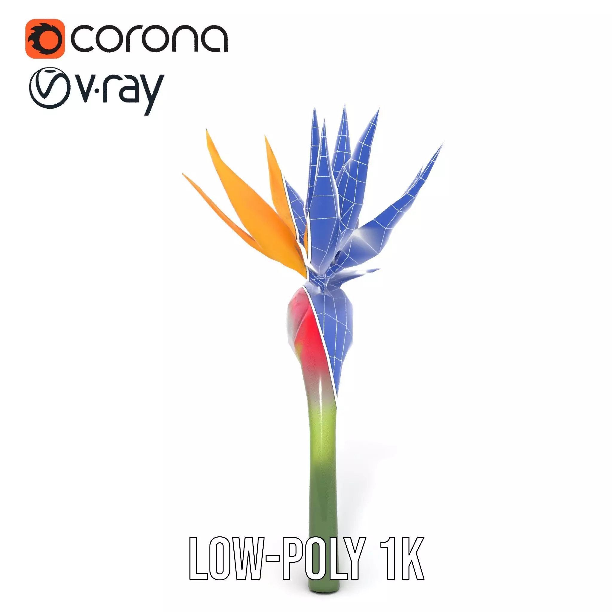 Bird of Paradise Flower model pack Low-poly 3D model_20
