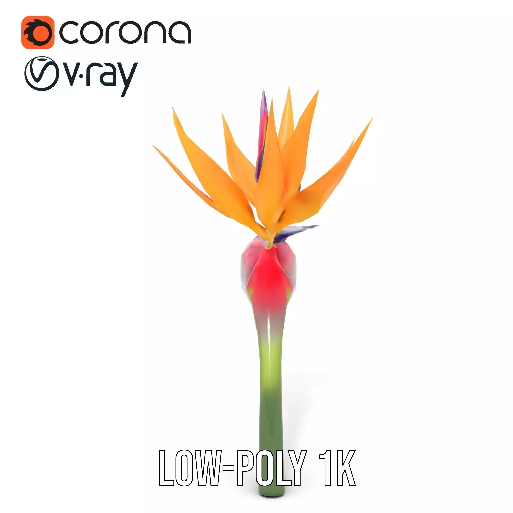 Bird of Paradise Flower model pack Low-poly 3D model_15