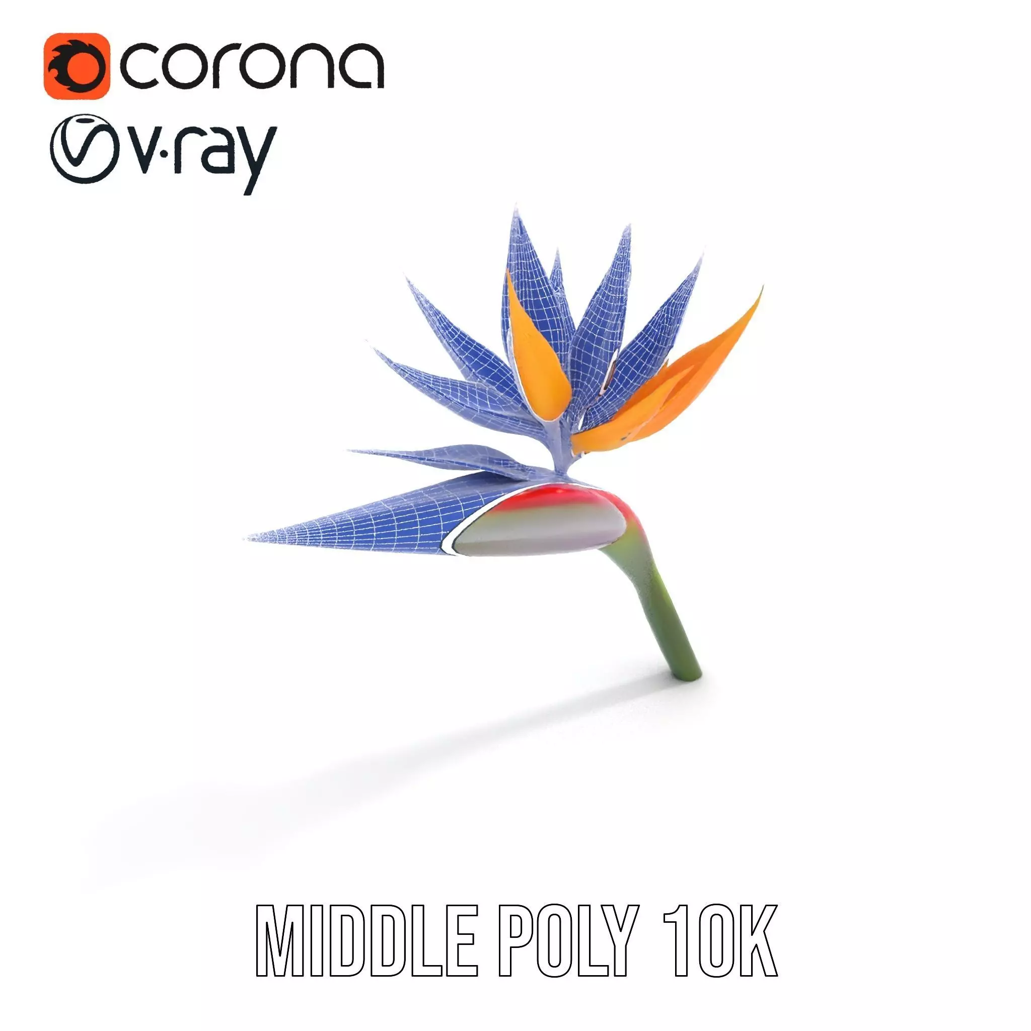 Bird of Paradise Flower model pack Low-poly 3D model_19