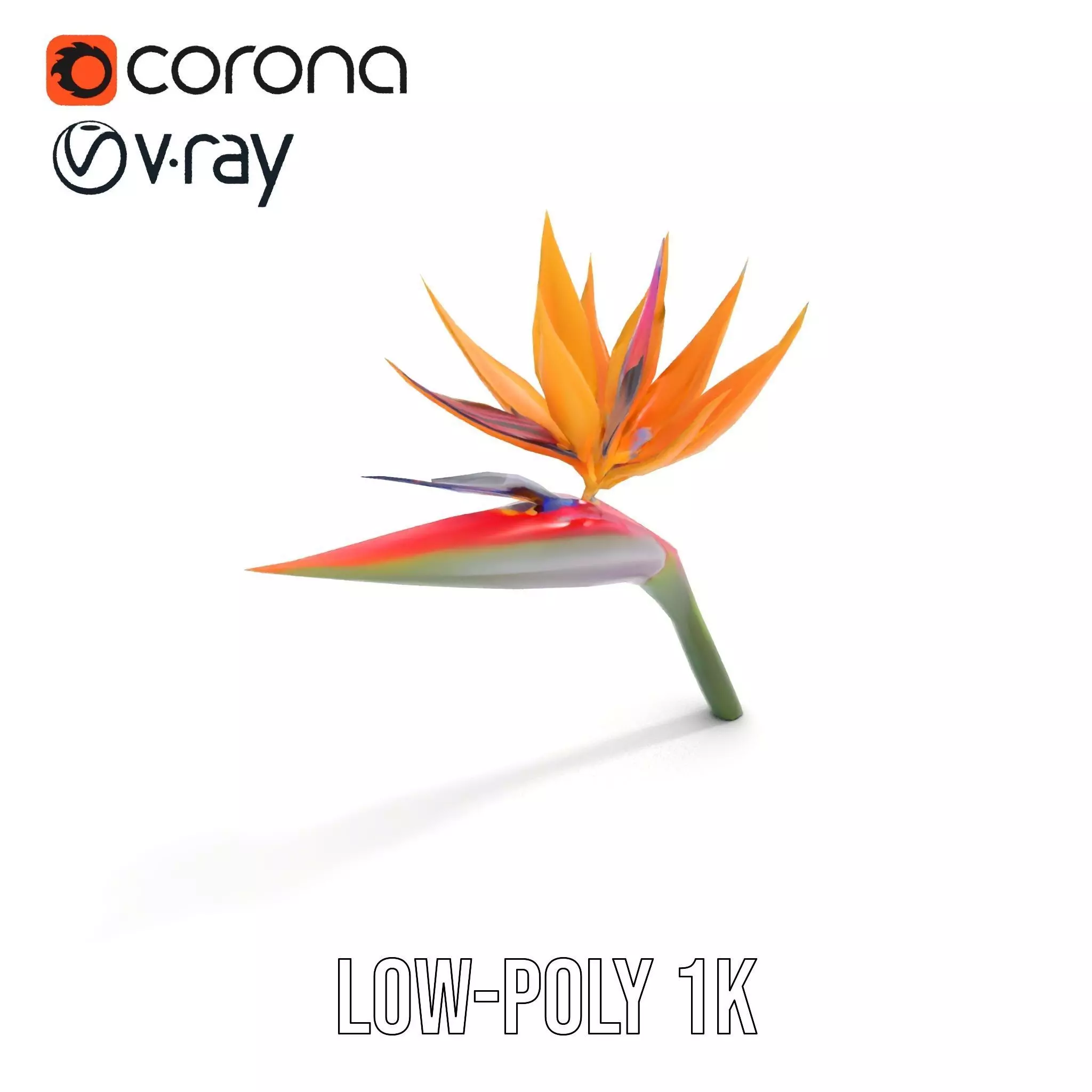 Bird of Paradise Flower model pack Low-poly 3D model_8