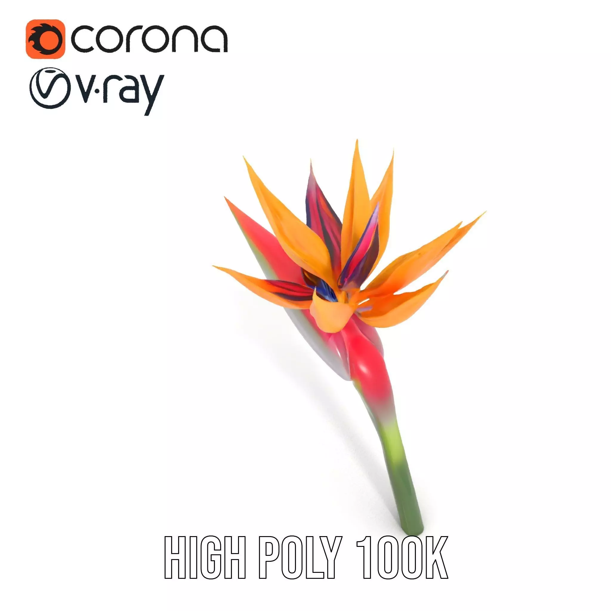 Bird of Paradise Flower model pack Low-poly 3D model_32