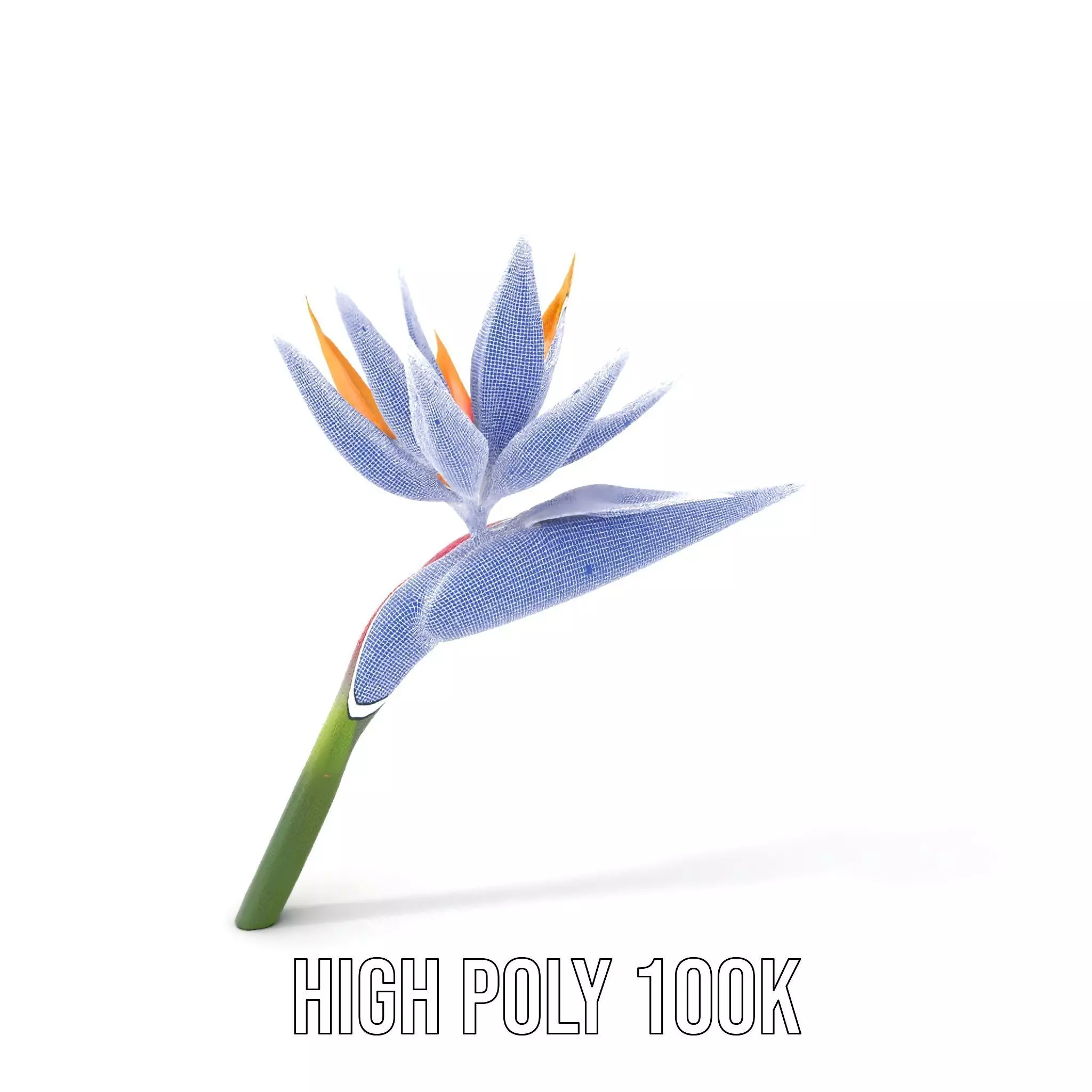 Bird of Paradise Flower model pack Low-poly 3D model_5