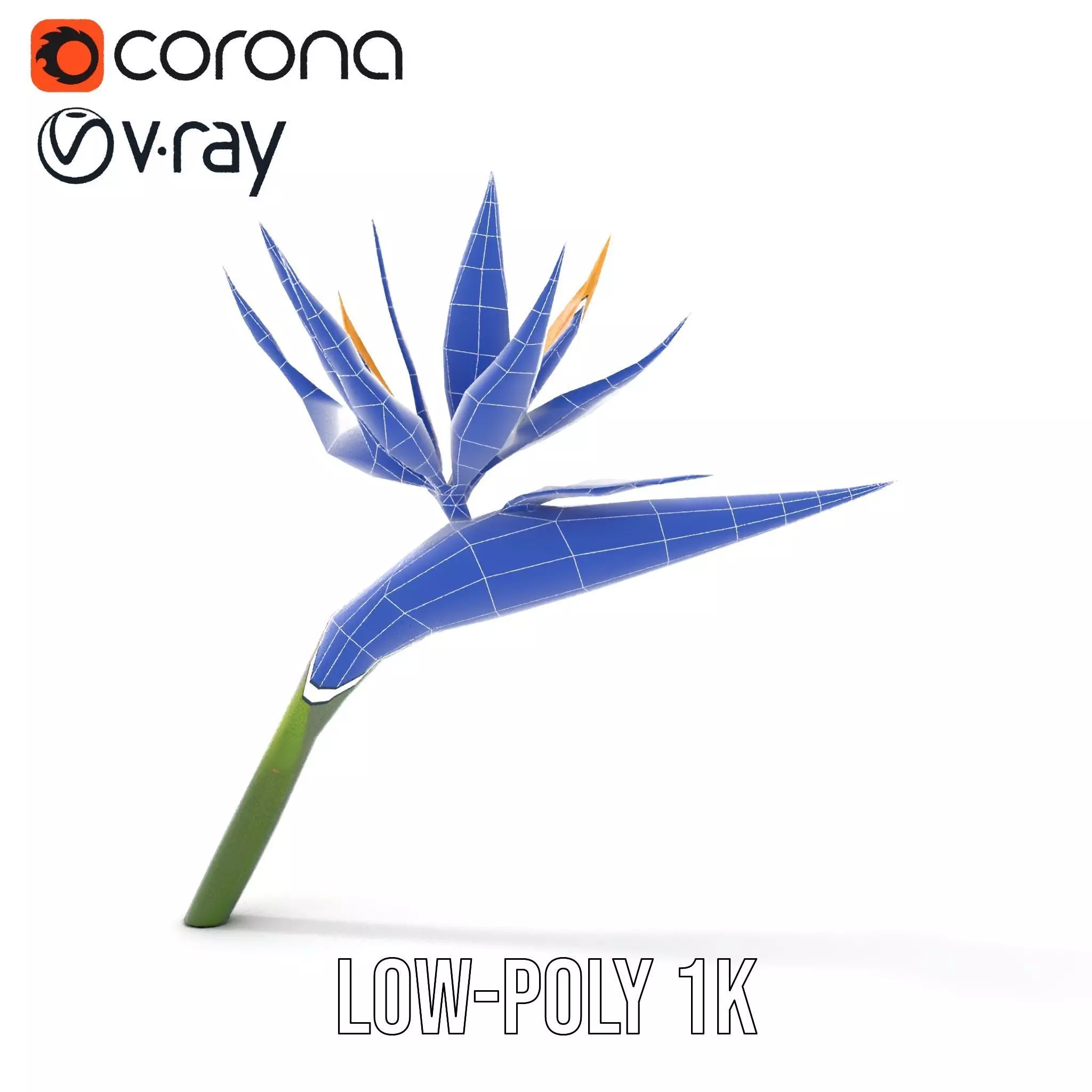 Bird of Paradise Flower model pack Low-poly 3D model_31