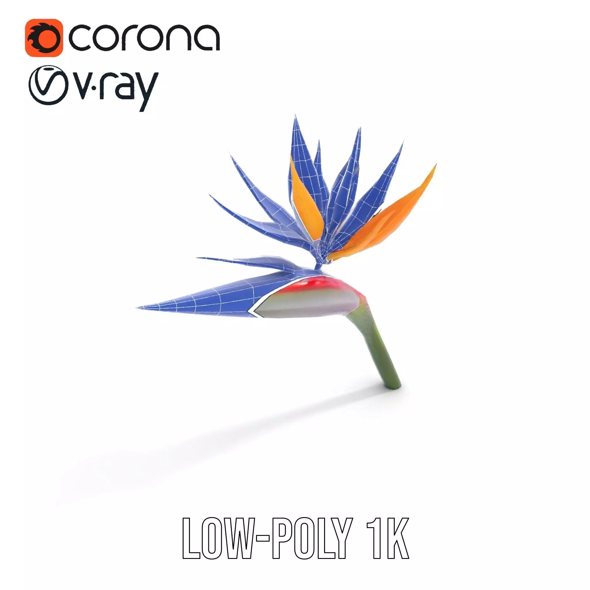 Bird of Paradise Flower model pack Low-poly 3D model_13