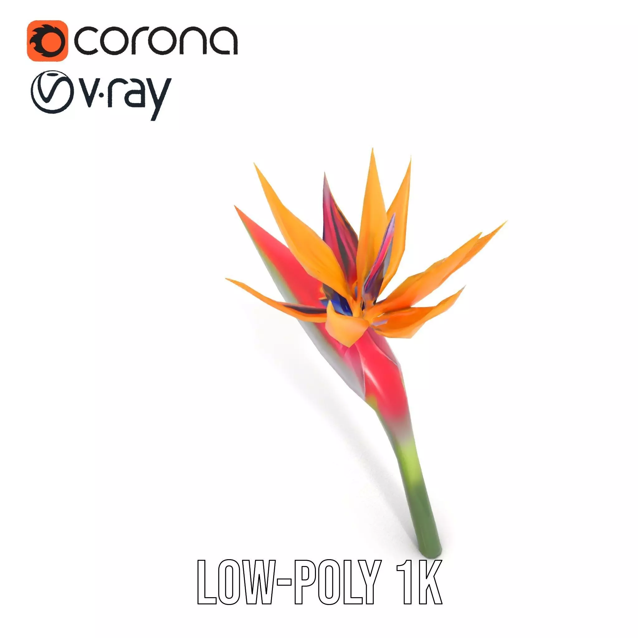Bird of Paradise Flower model pack Low-poly 3D model_10