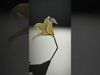 Elegant White Lily model pack Low-poly 3D model_2