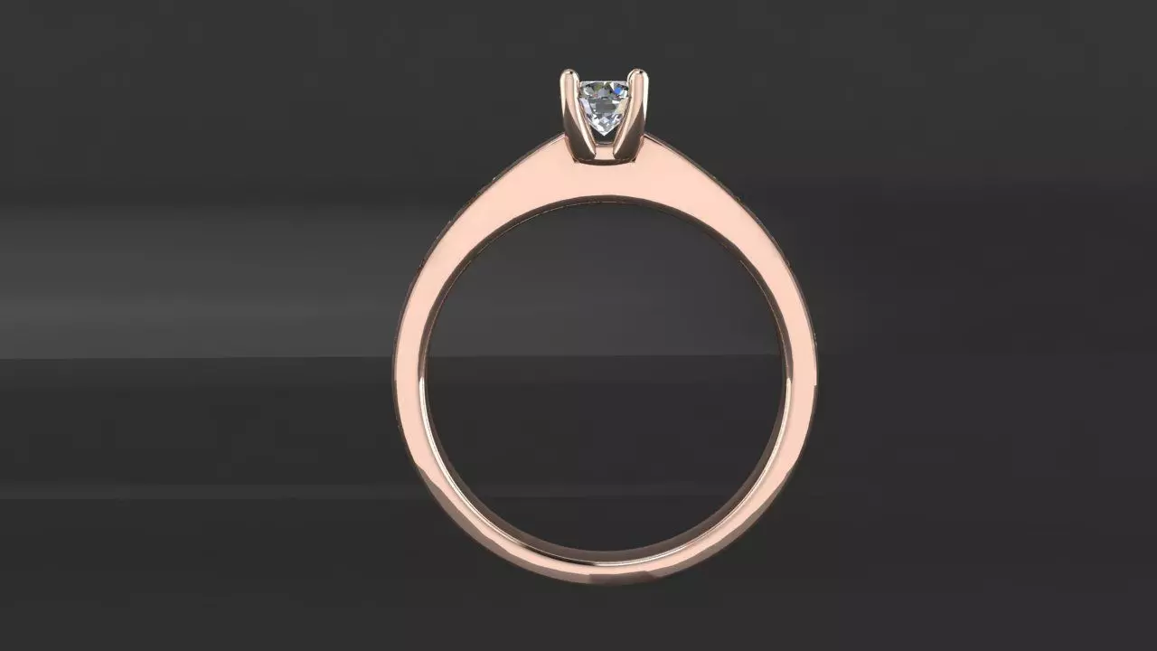 Rings 3D print model_1