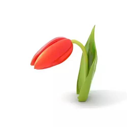 Elegant Red Tulip model pack Low-poly 3D model