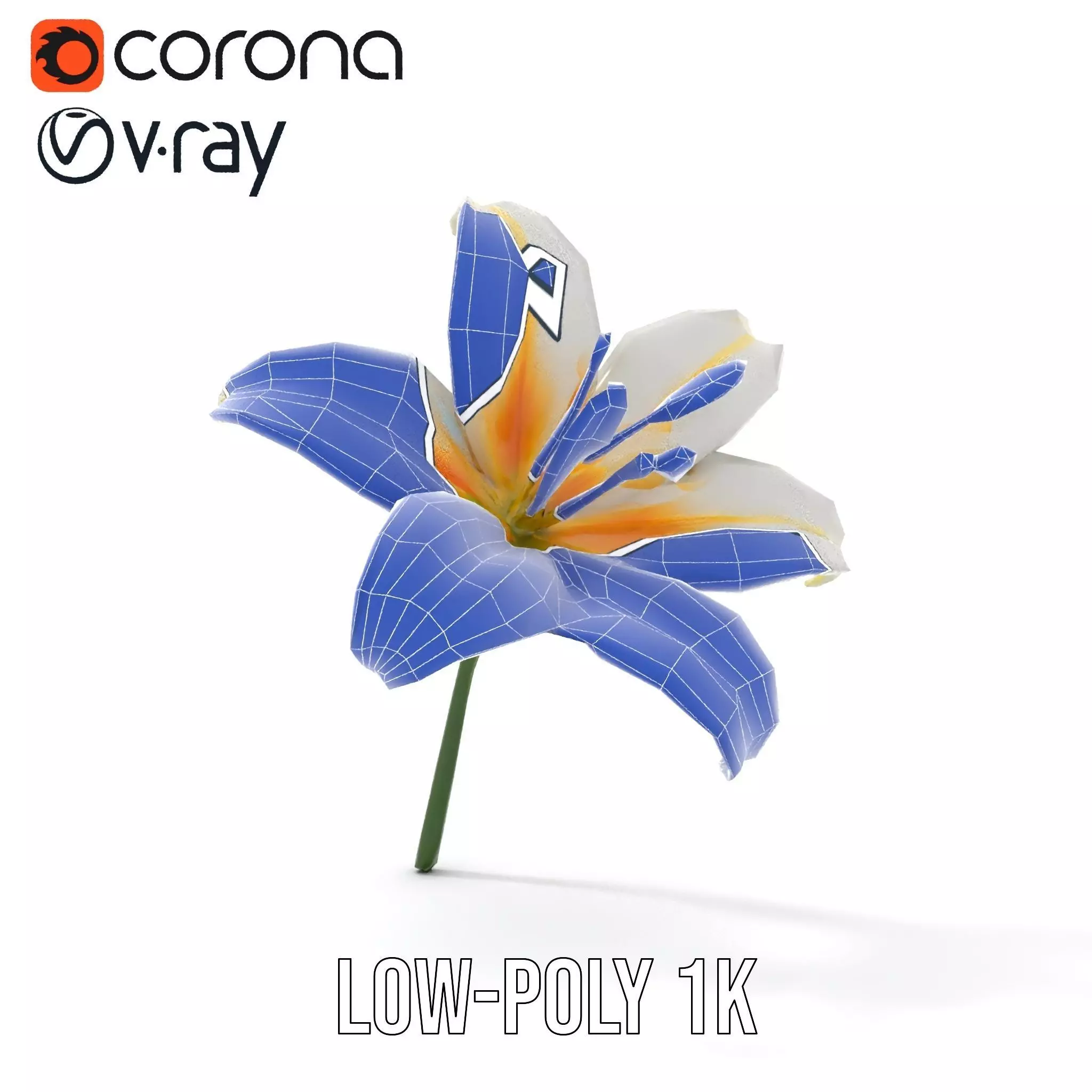 White Lily Bloom model pack Low-poly 3D model_26