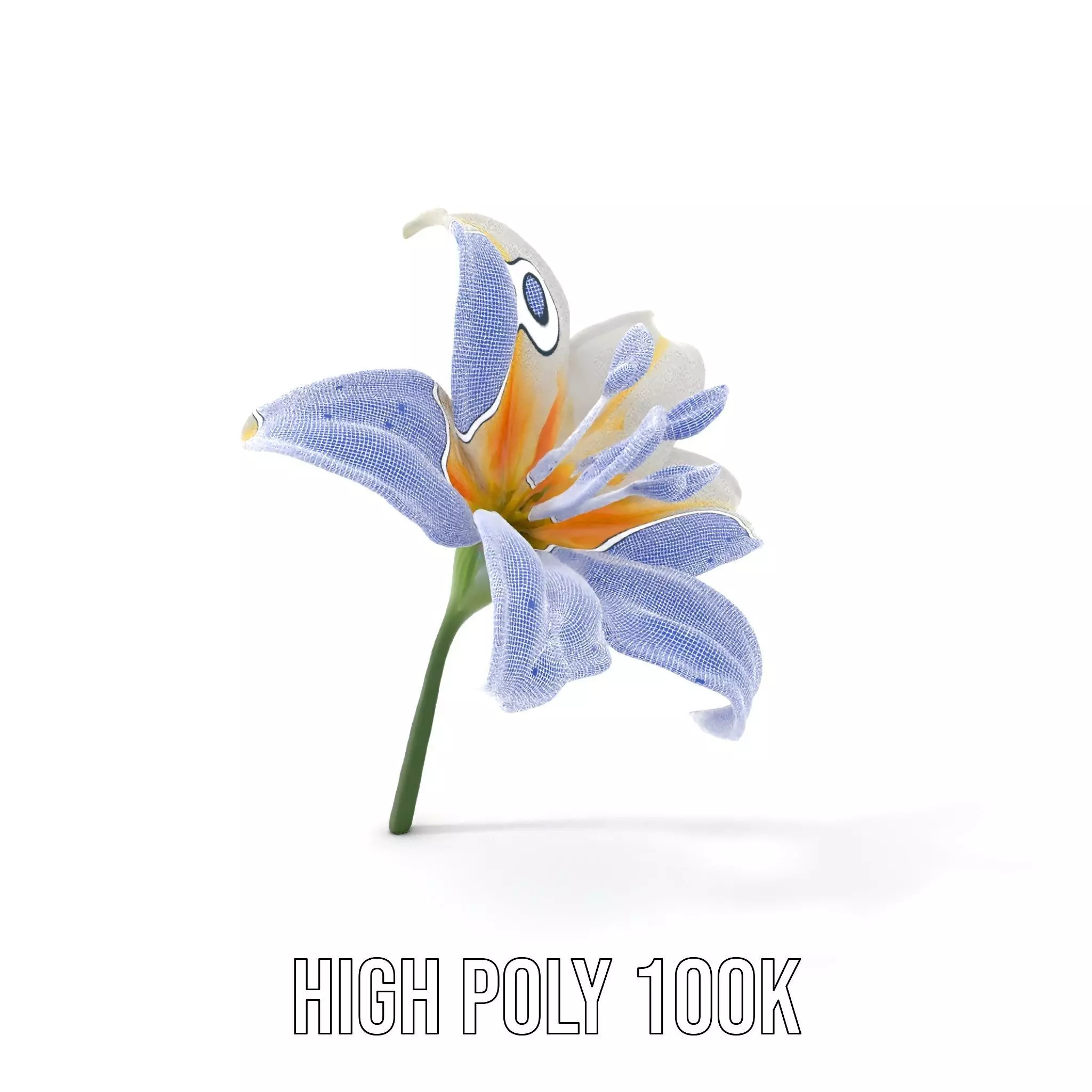 White Lily Bloom model pack Low-poly 3D model_5