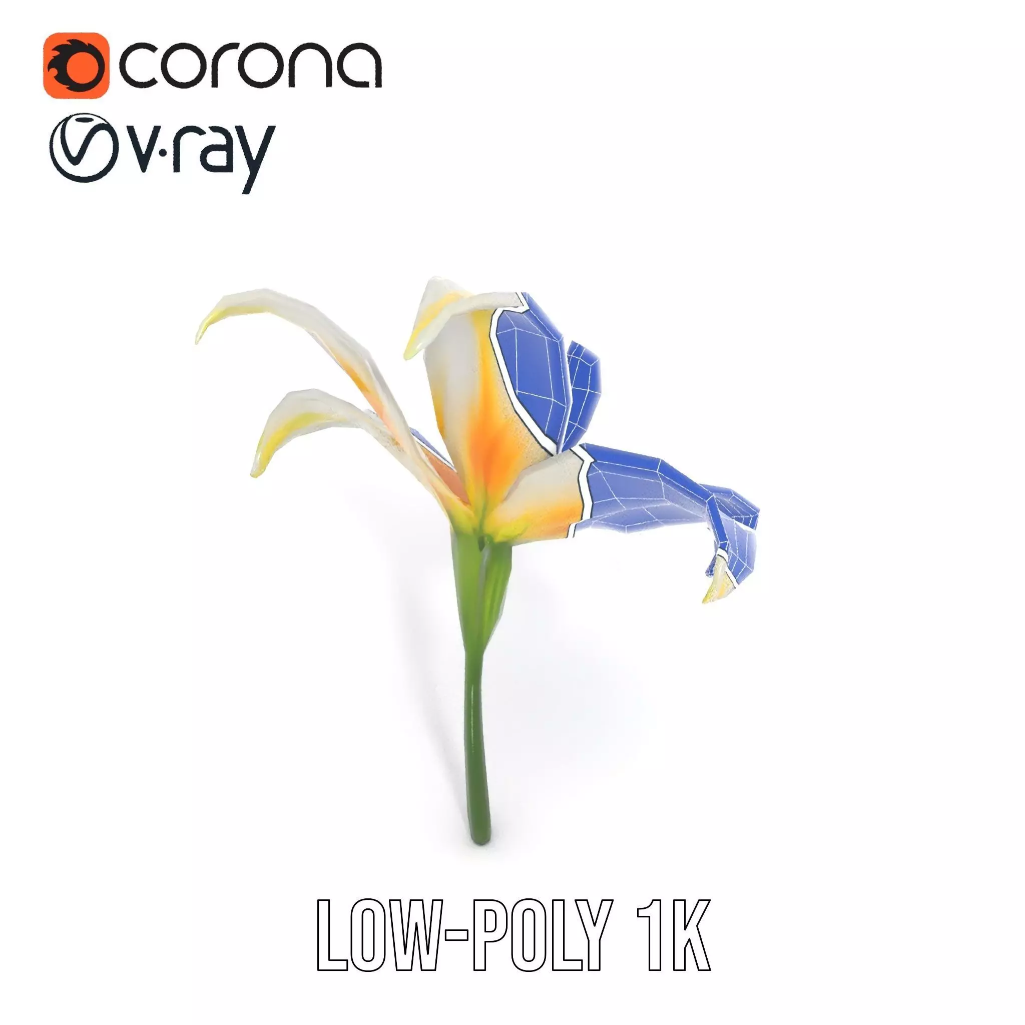 White Lily Bloom model pack Low-poly 3D model_31