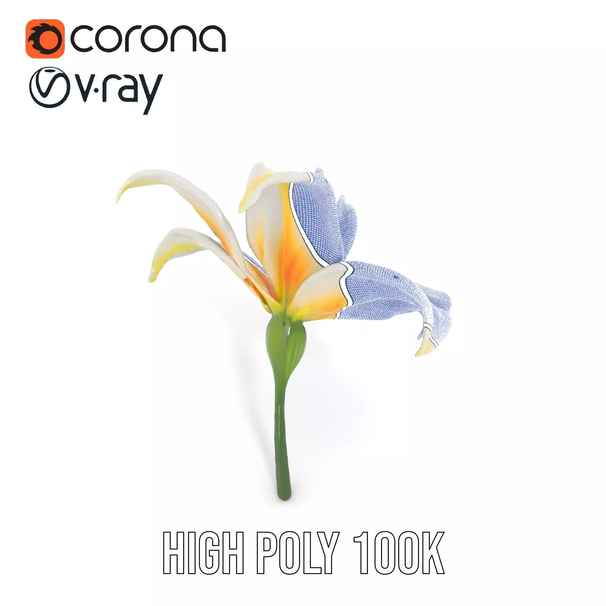 White Lily Bloom model pack Low-poly 3D model_32