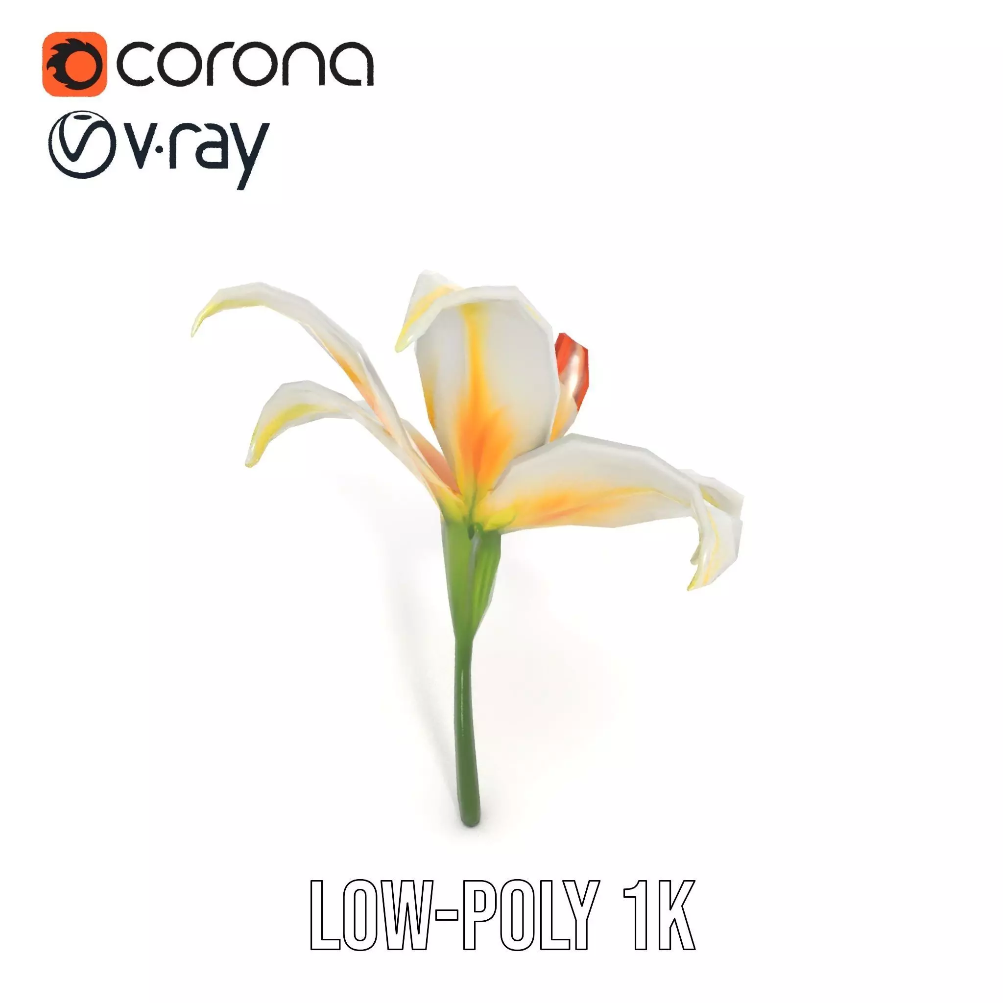 White Lily Bloom model pack Low-poly 3D model_10