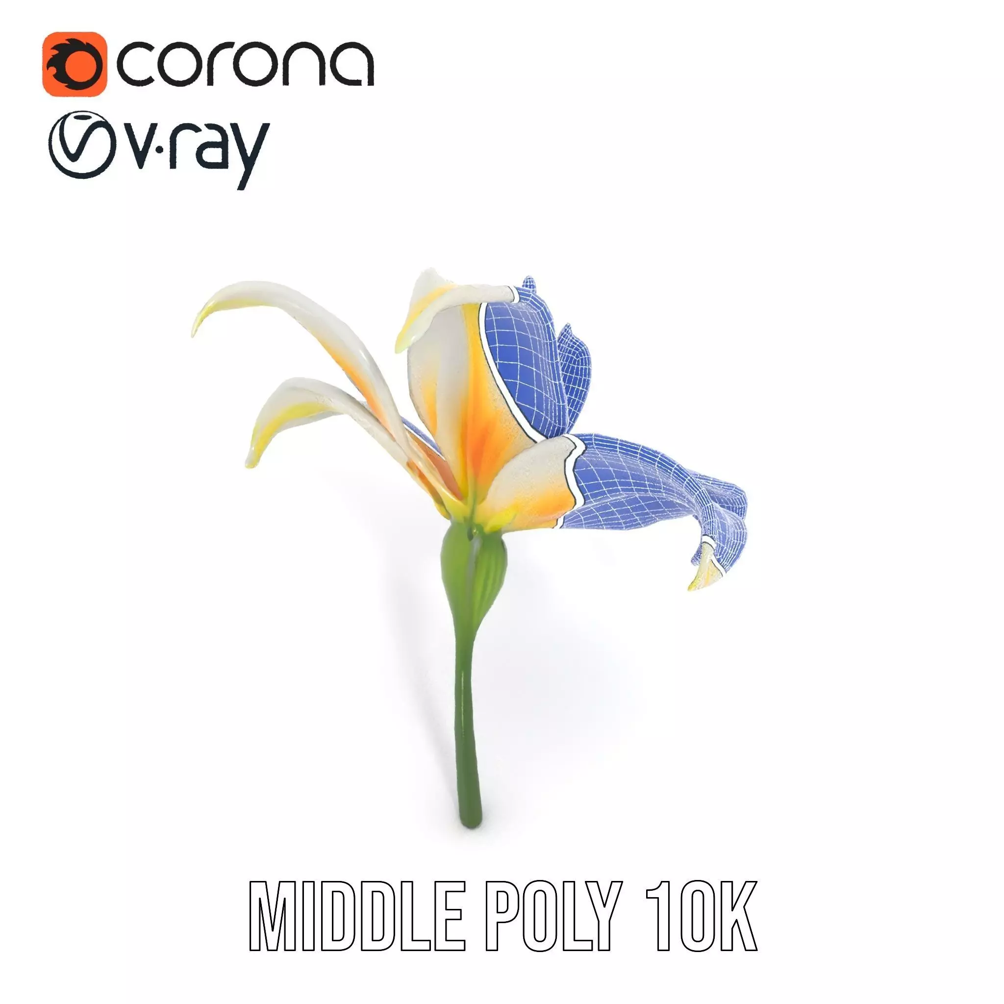 White Lily Bloom model pack Low-poly 3D model_30