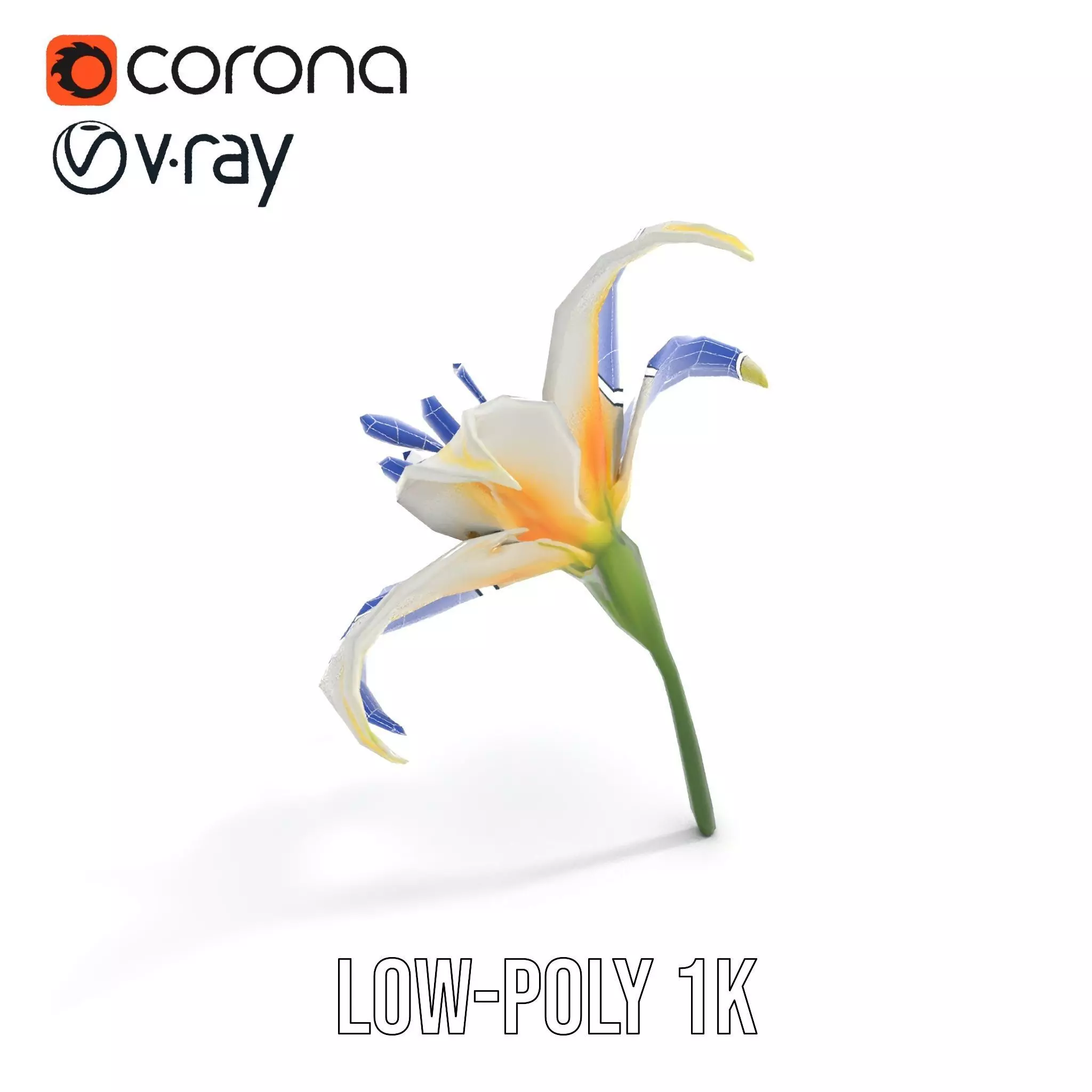 White Lily Bloom model pack Low-poly 3D model_23