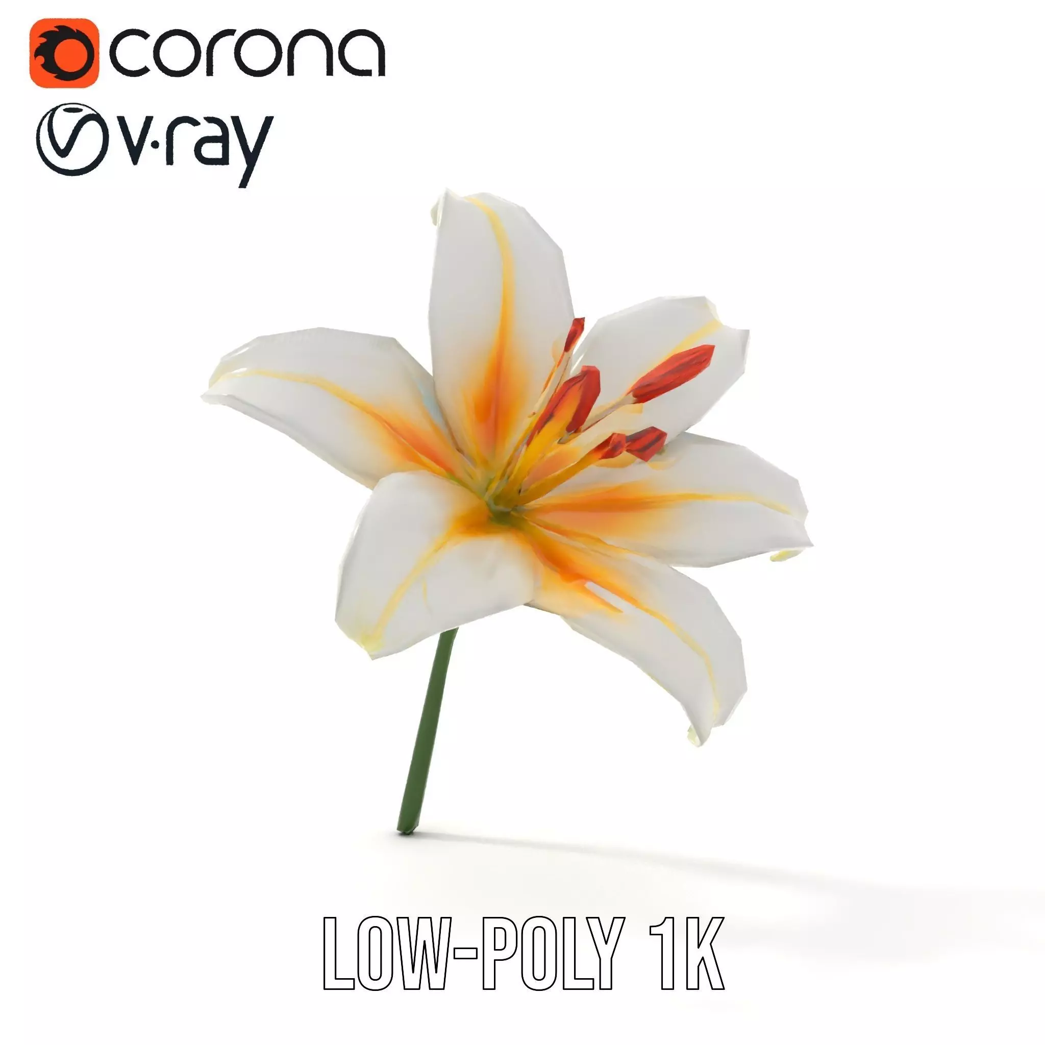 White Lily Bloom model pack Low-poly 3D model_15