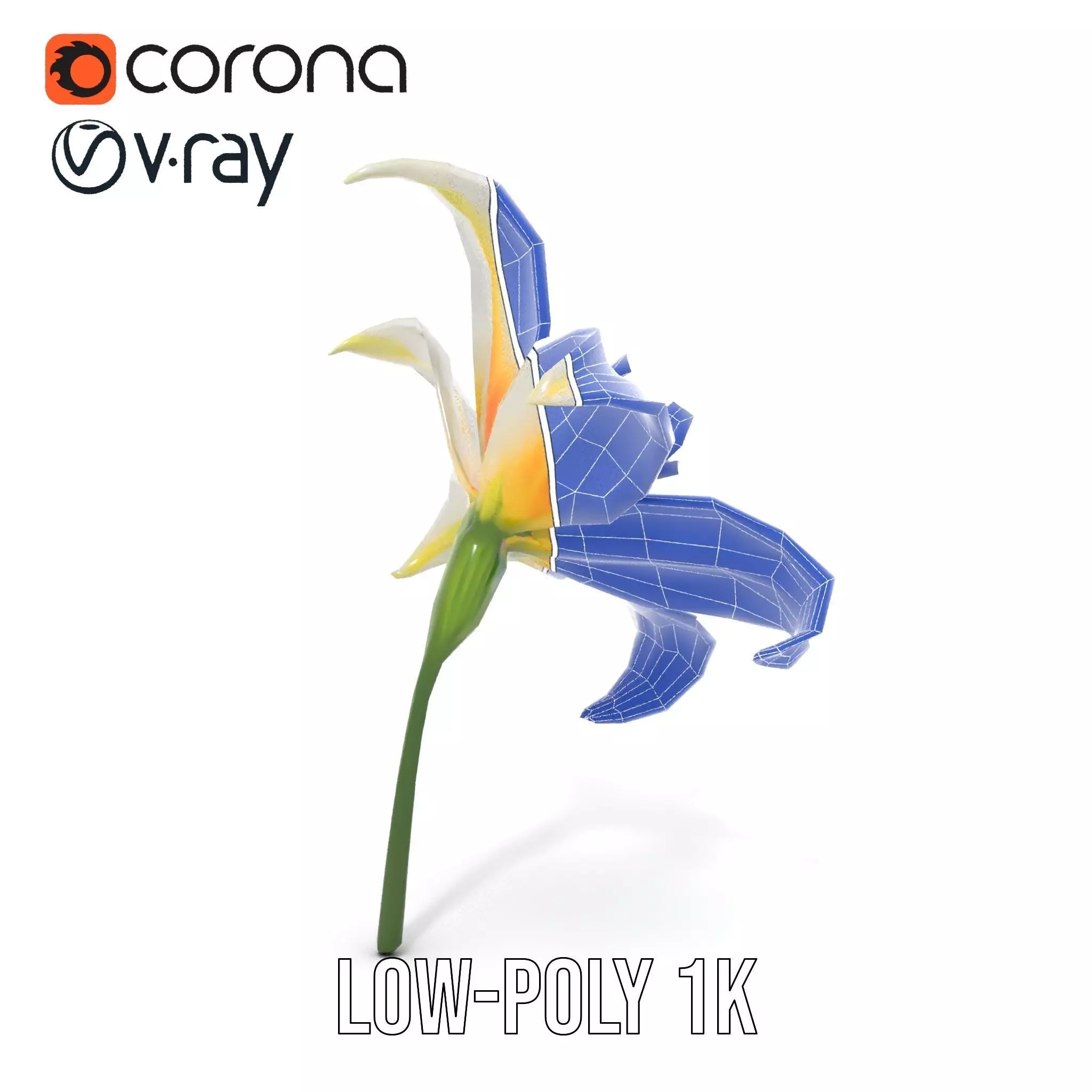 White Lily Bloom model pack Low-poly 3D model_28