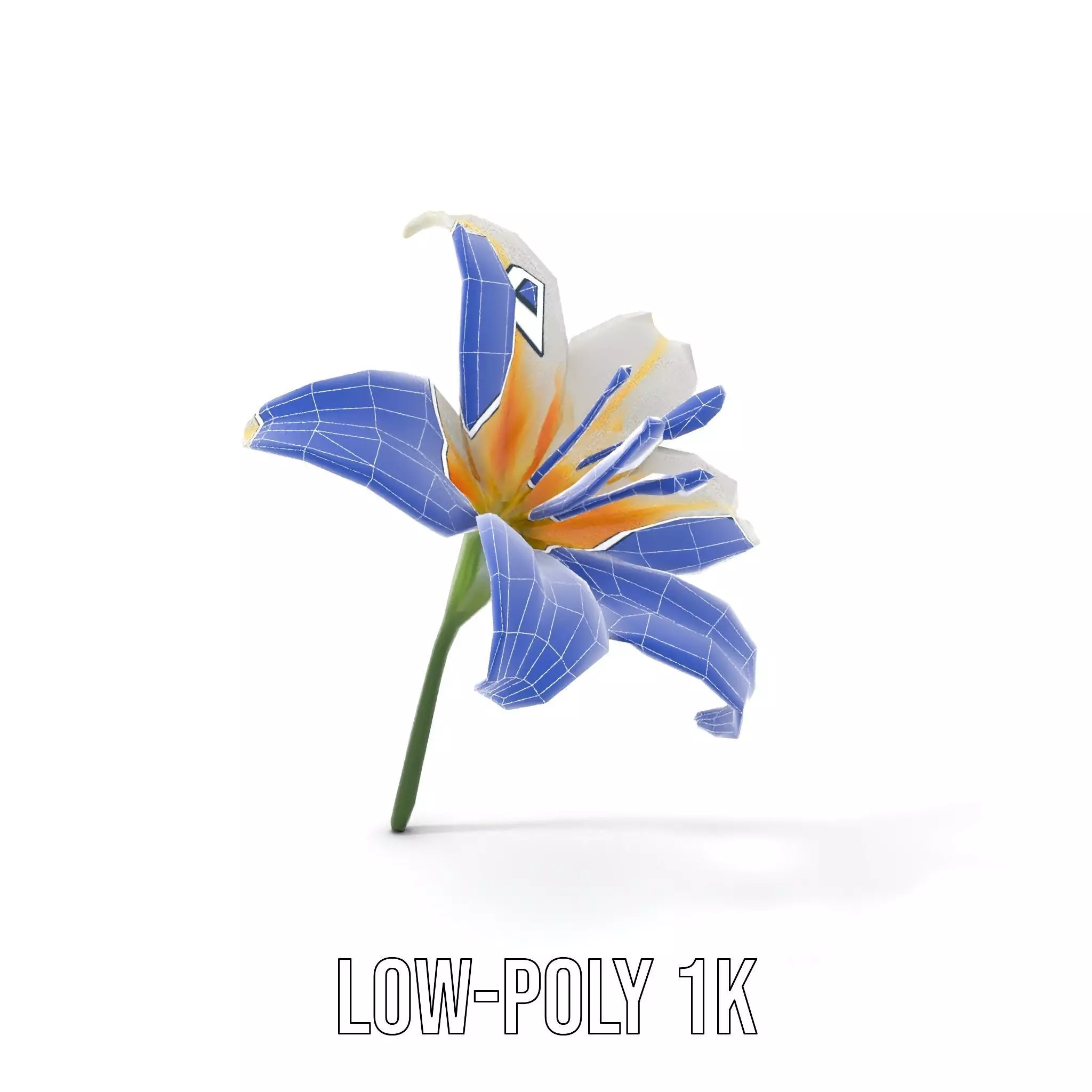 White Lily Bloom model pack Low-poly 3D model_17