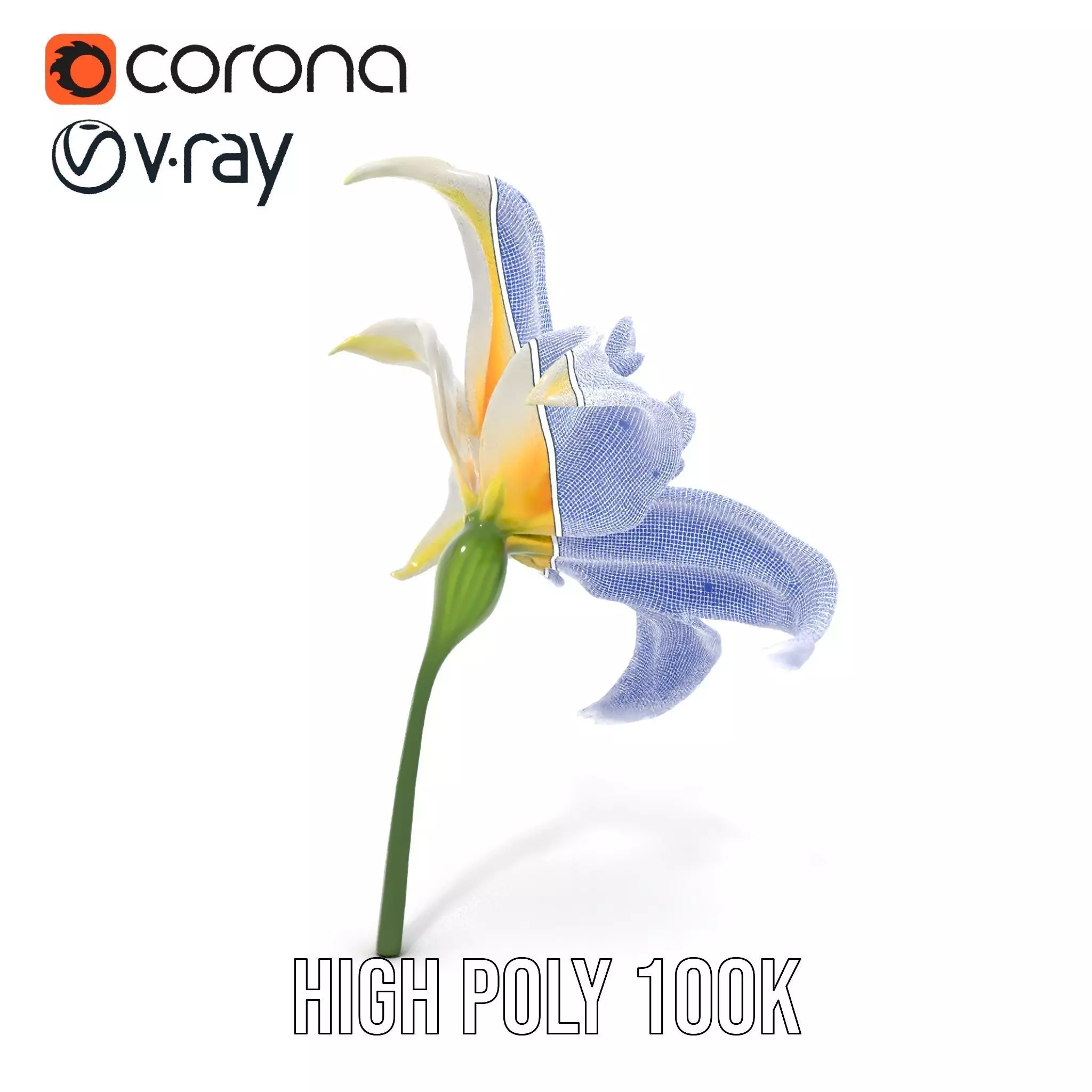 White Lily Bloom model pack Low-poly 3D model_35