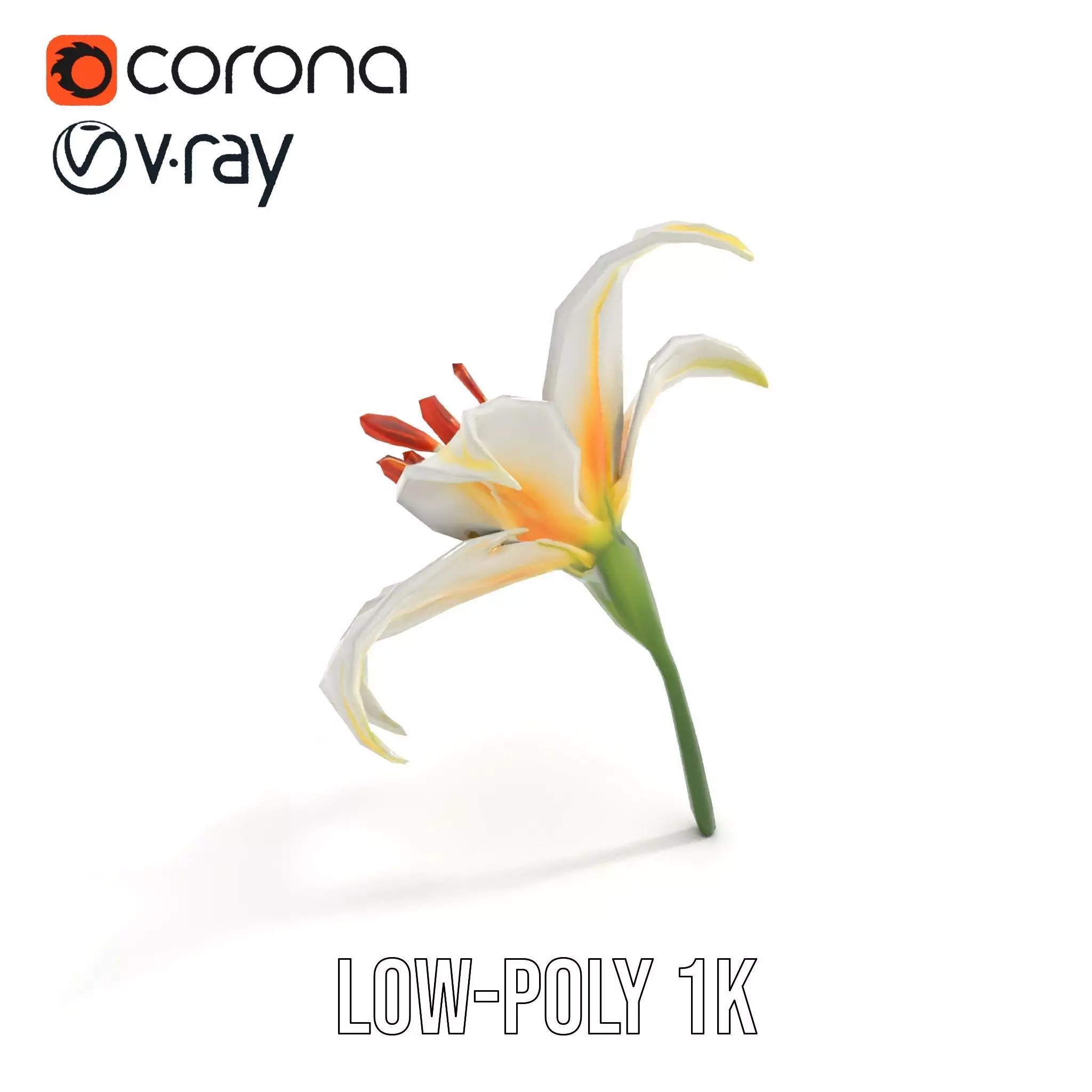 White Lily Bloom model pack Low-poly 3D model_8