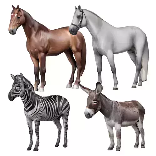 Zoo Animals 2 3D model