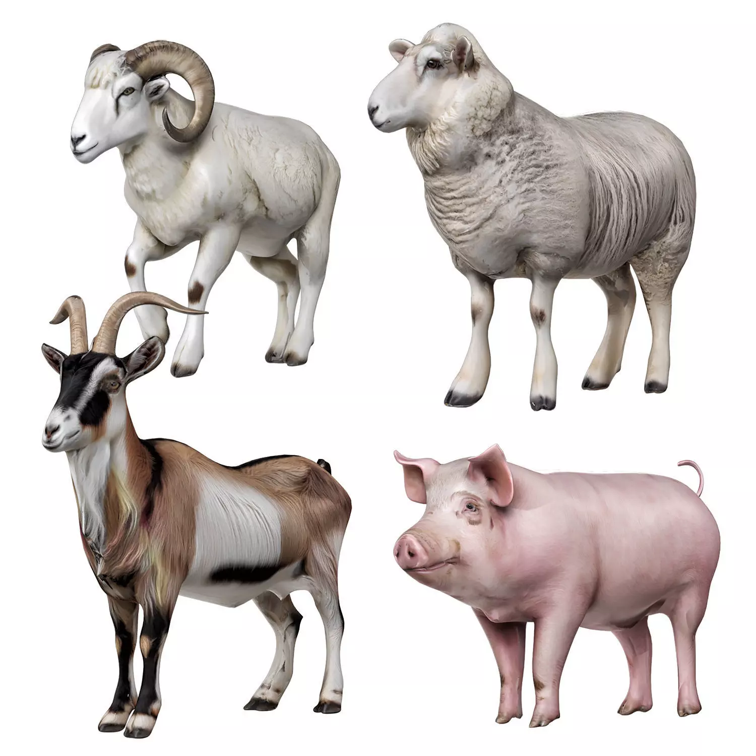 Farm Animals 2 3D model